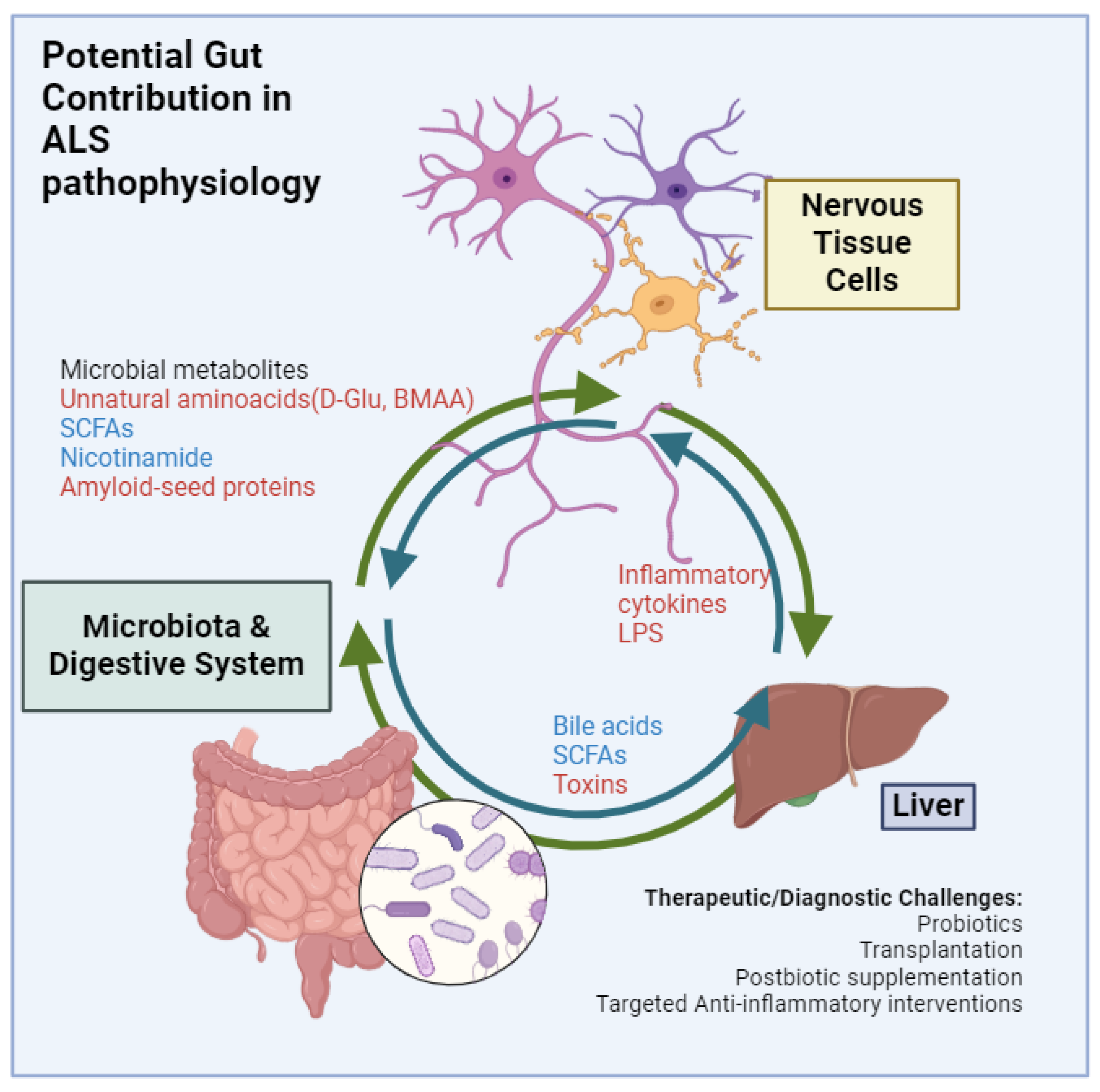 Sclerosis 03 00008 g002