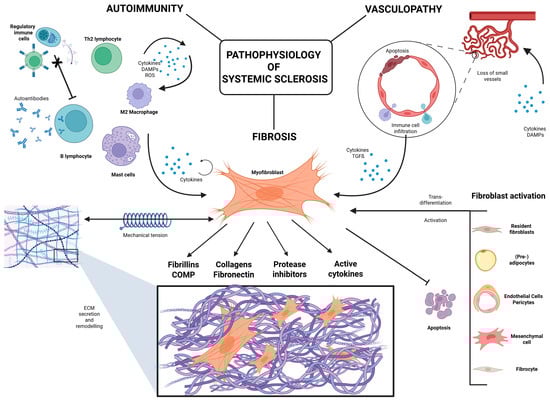 Sclerosis 03 00017 g002