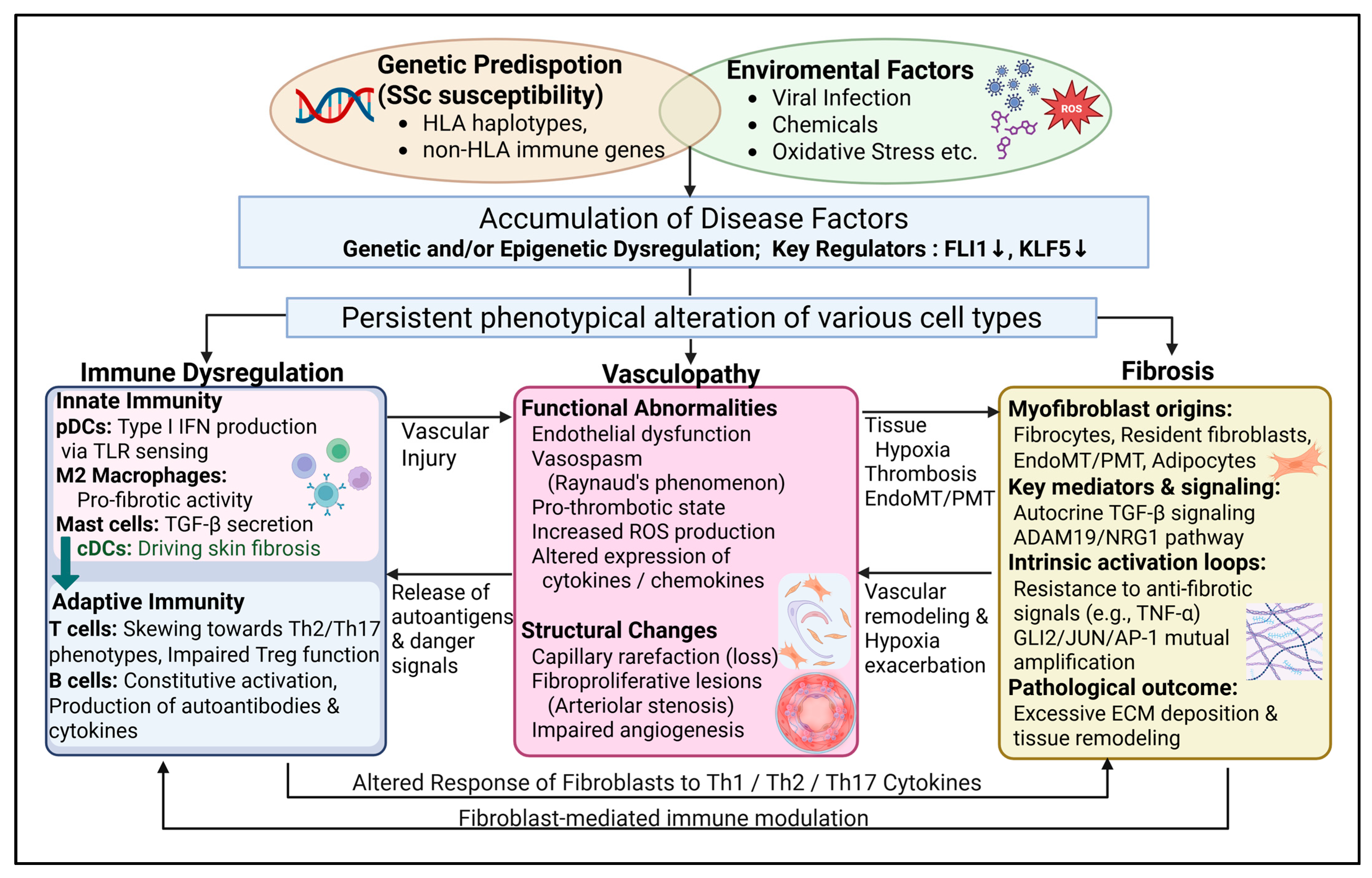 Sclerosis 03 00020 g001