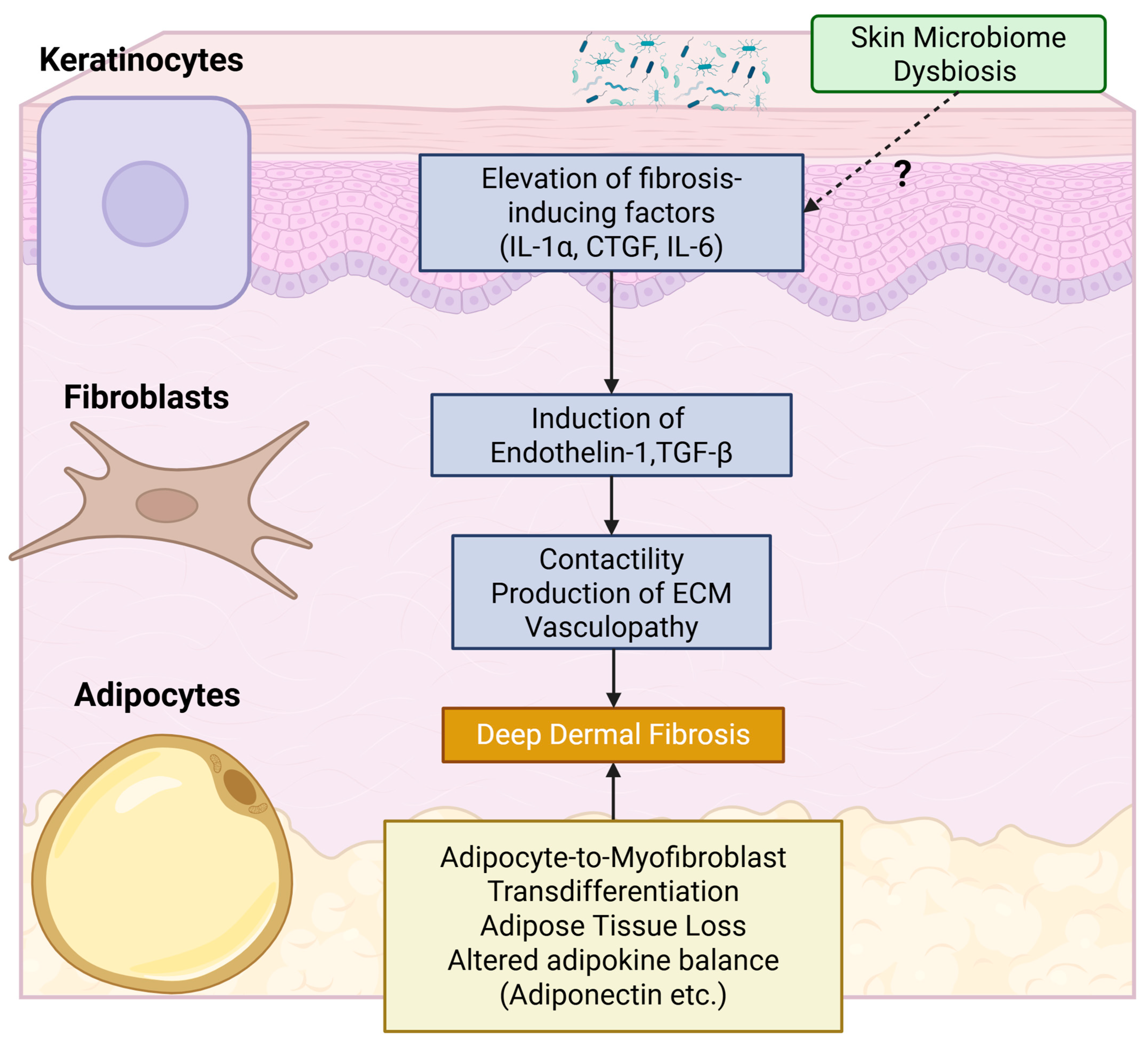 Sclerosis 03 00020 g002