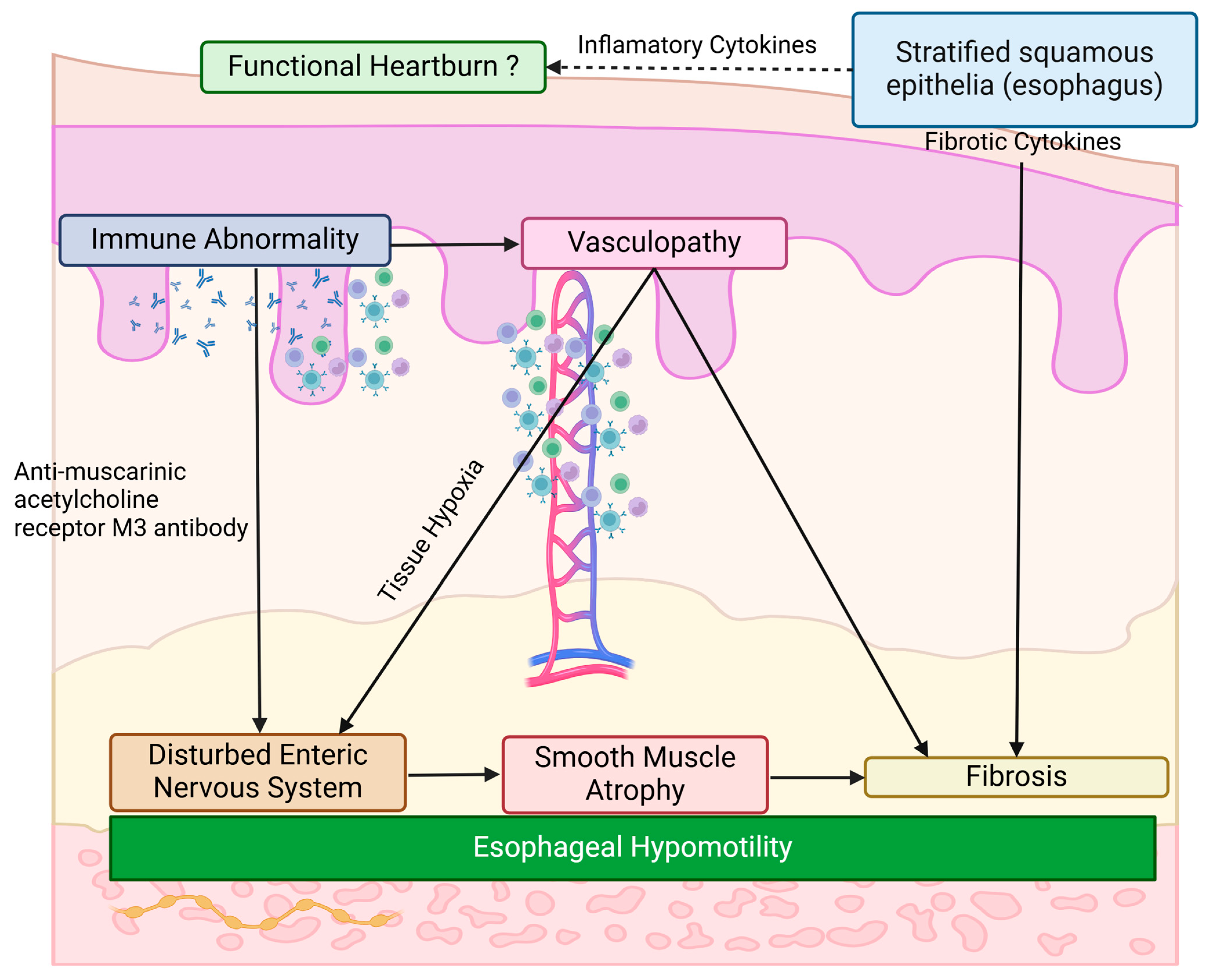 Sclerosis 03 00020 g003
