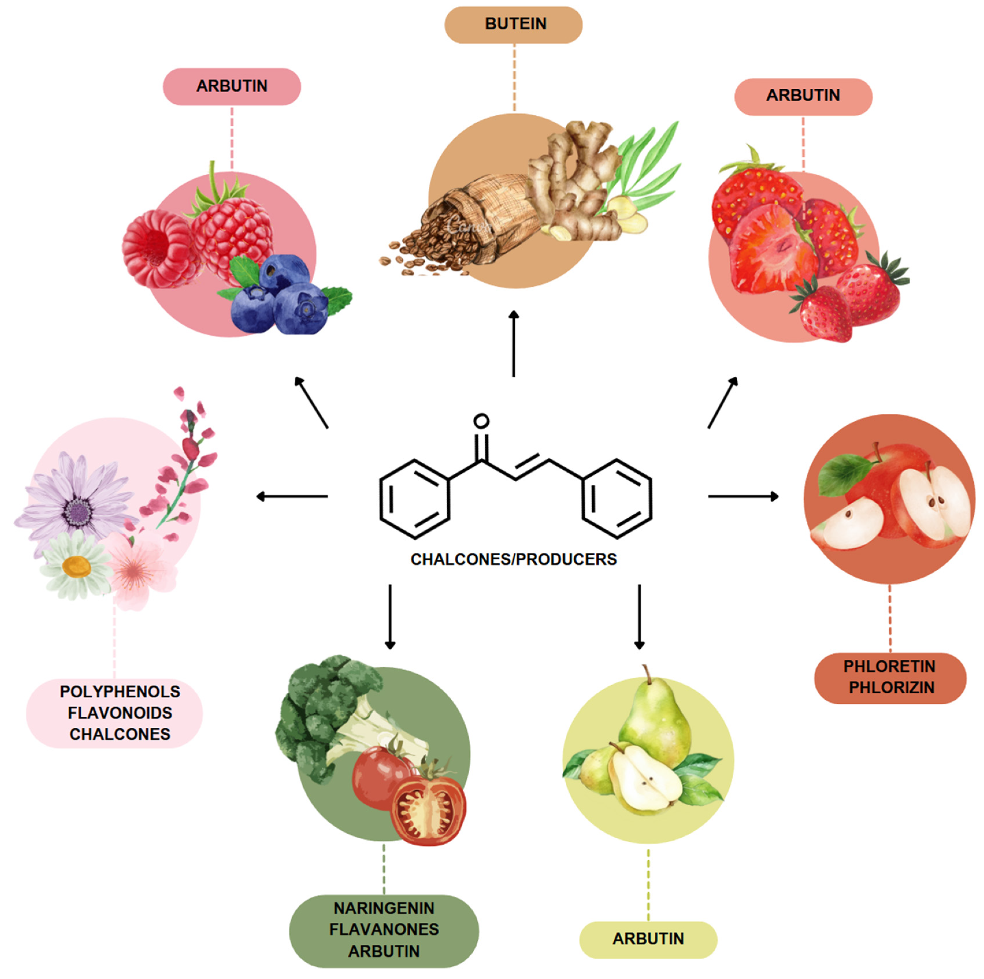 Sclerosis 03 00033 g002