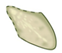 Seeds 01 00014 i005