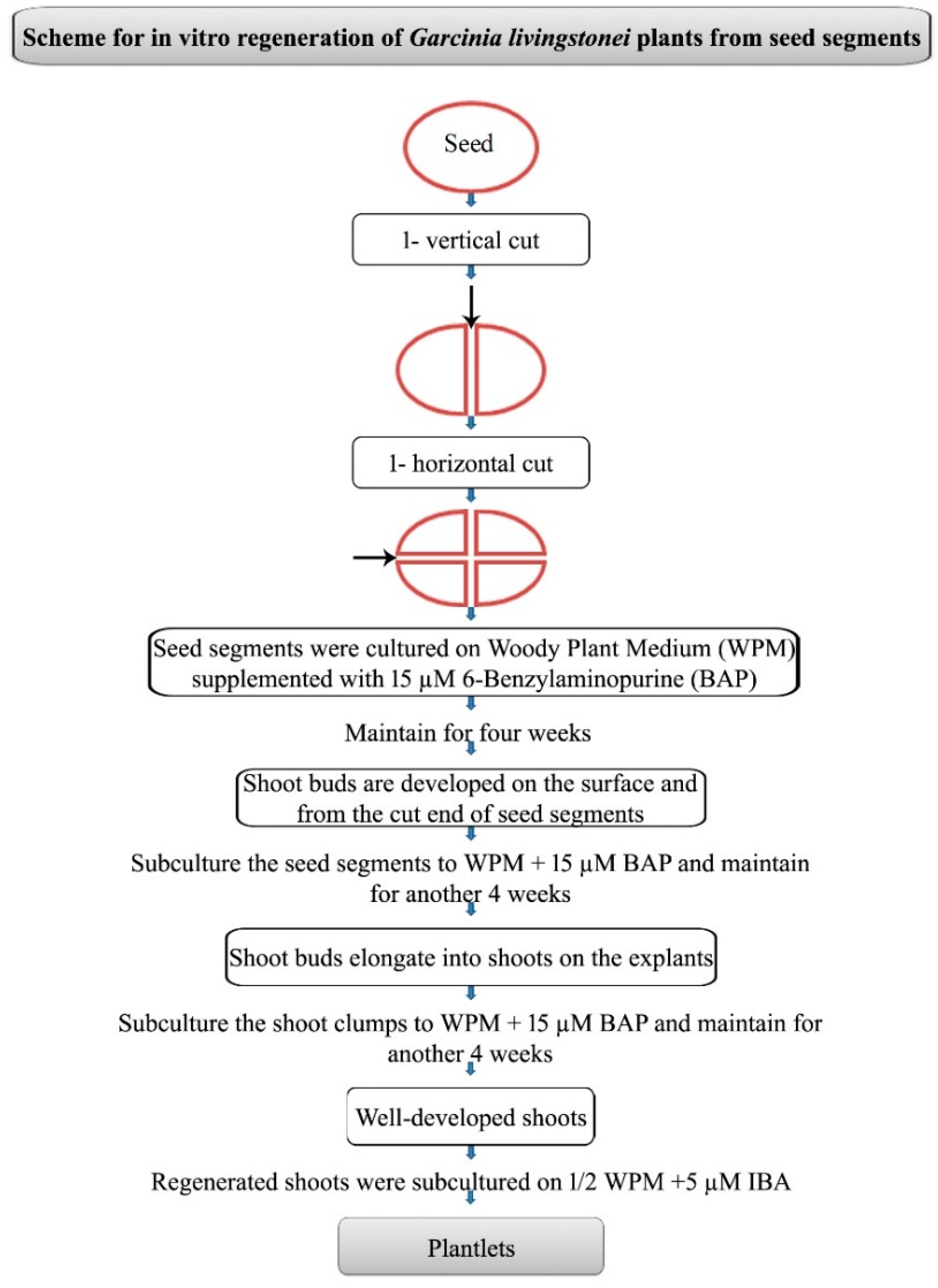 Seeds 01 00023 sch001