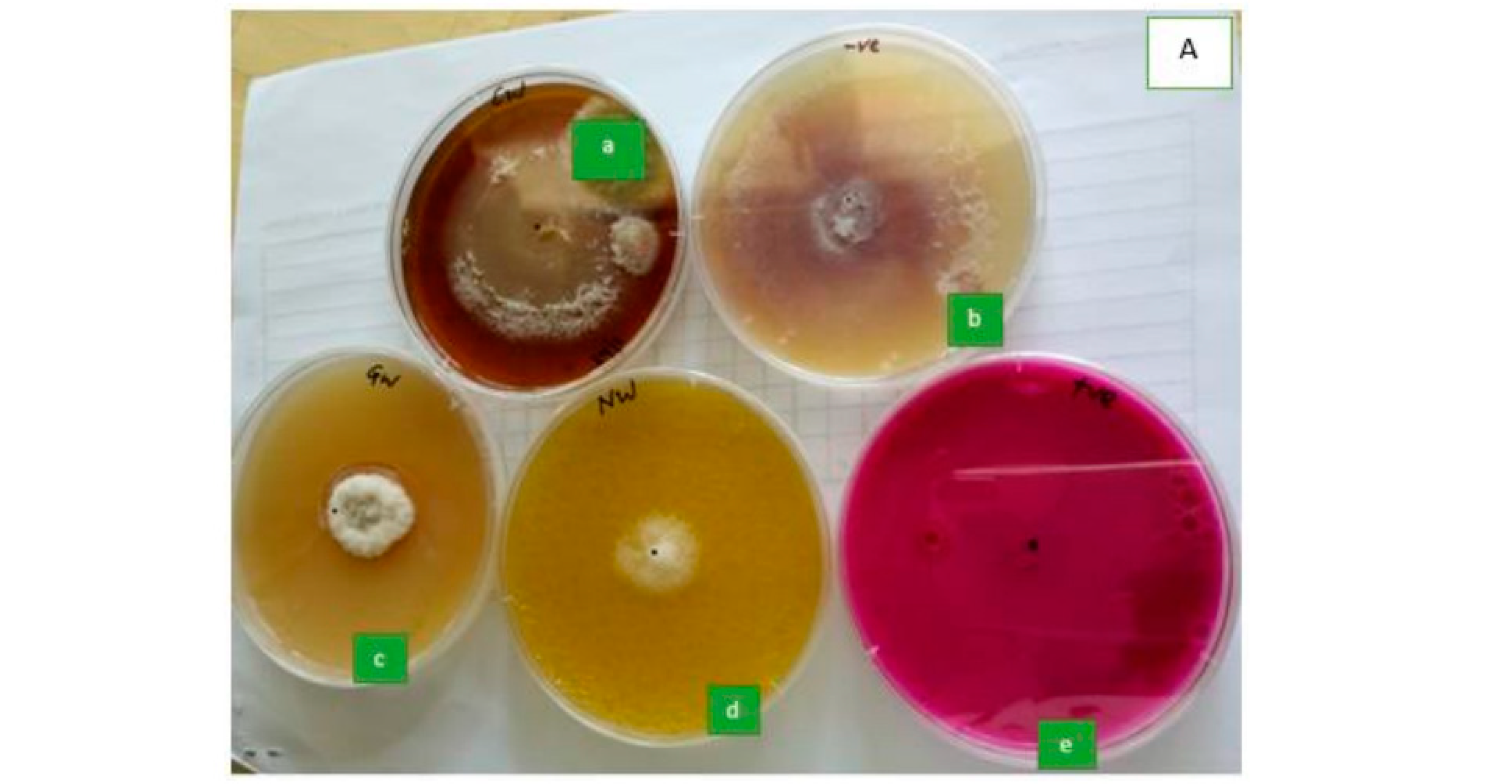 Seeds 02 00003 g006a Seeds 02 00003 g006a