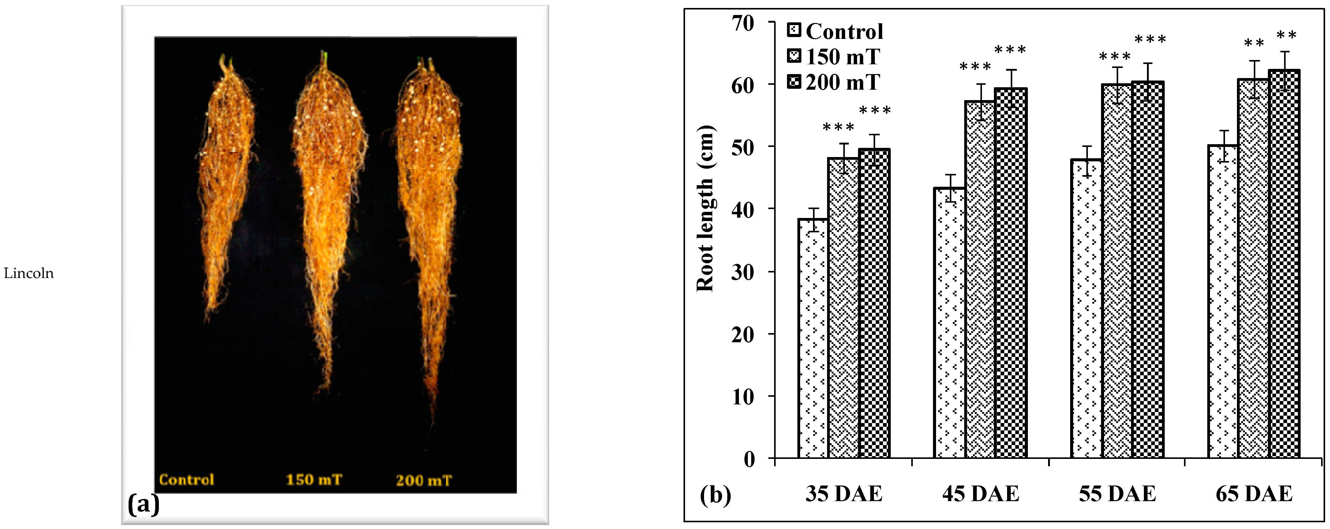 Seeds 02 00006 g014a