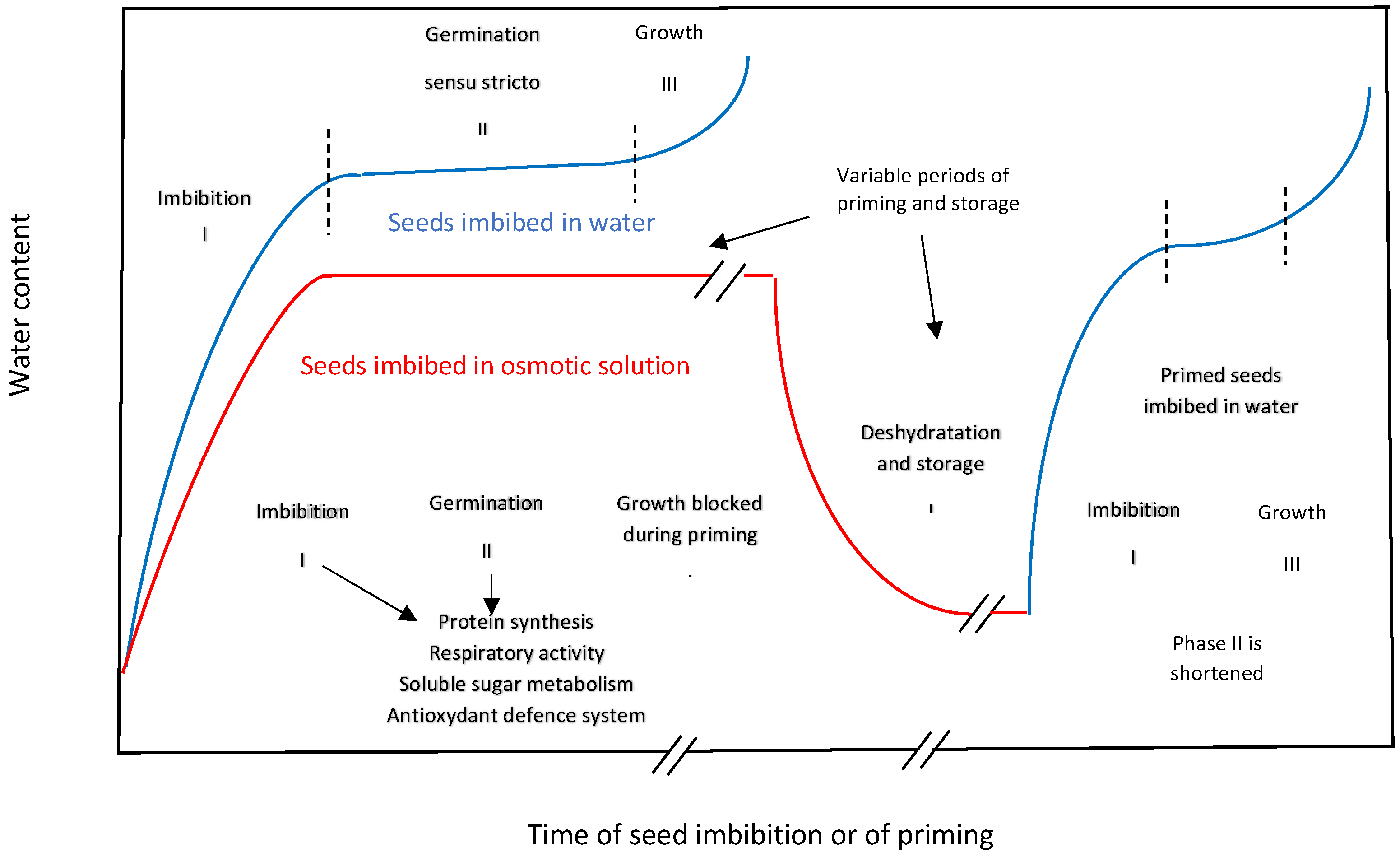 Seeds 02 00008 g001 Seeds 02 00008 g001
