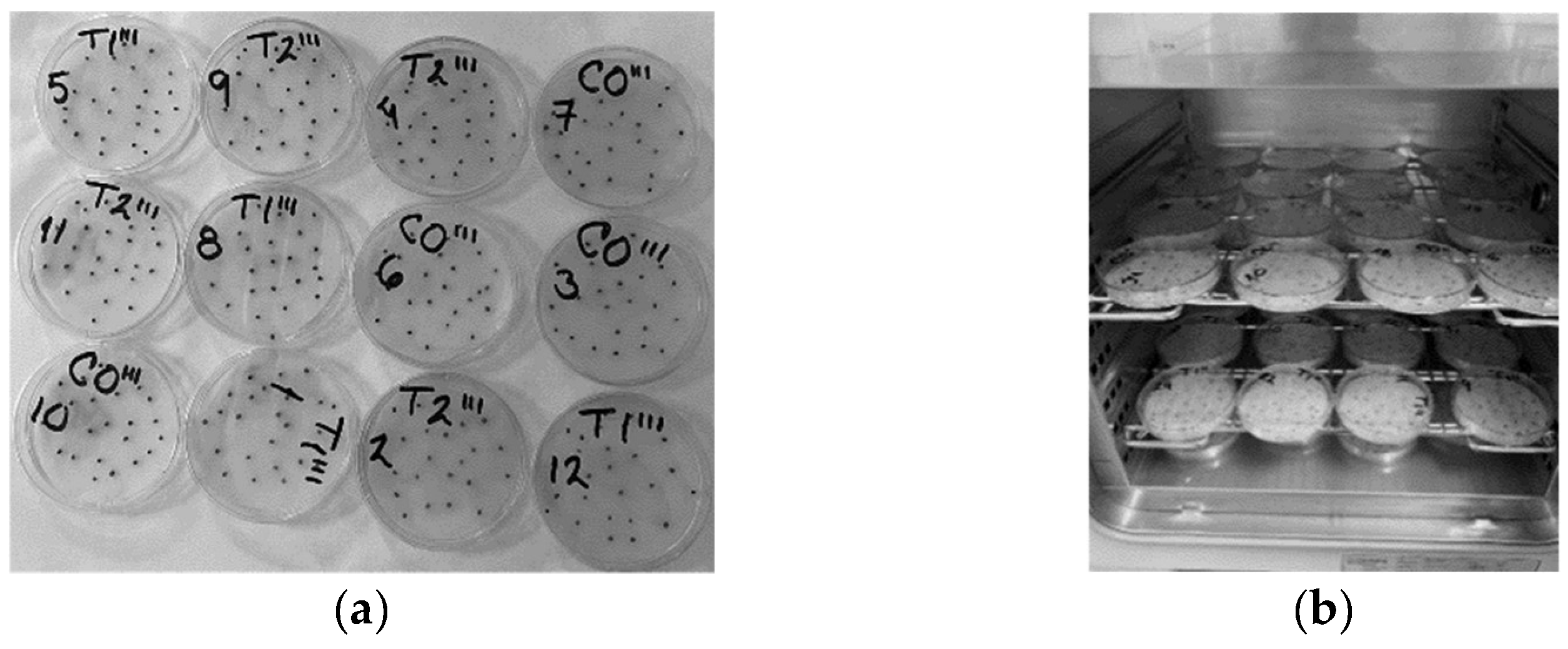 Seeds 03 00013 g002
