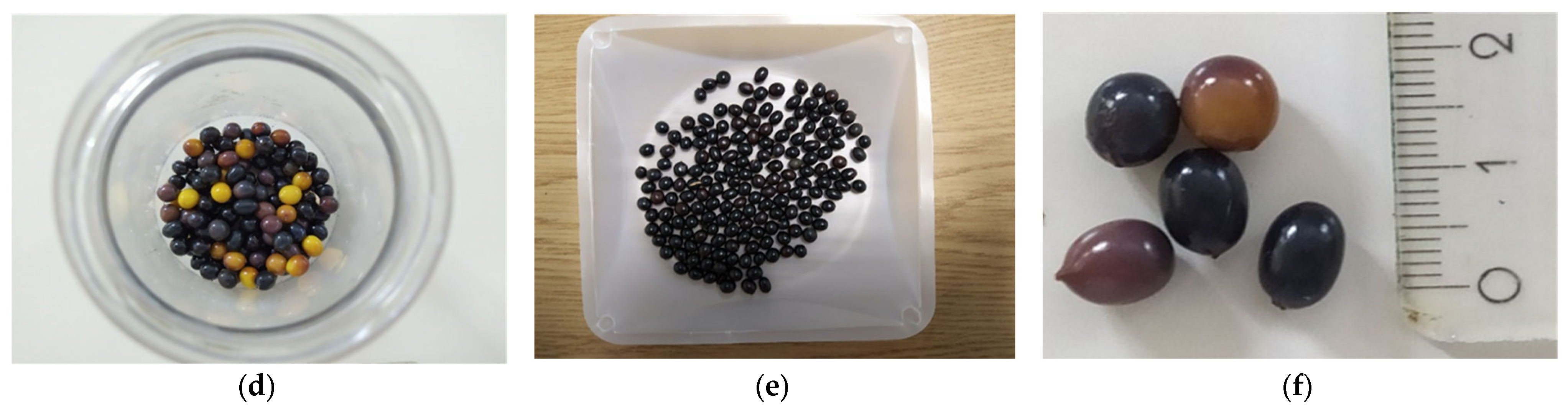 Seeds 04 00007 g001b Seeds 04 00007 g001b