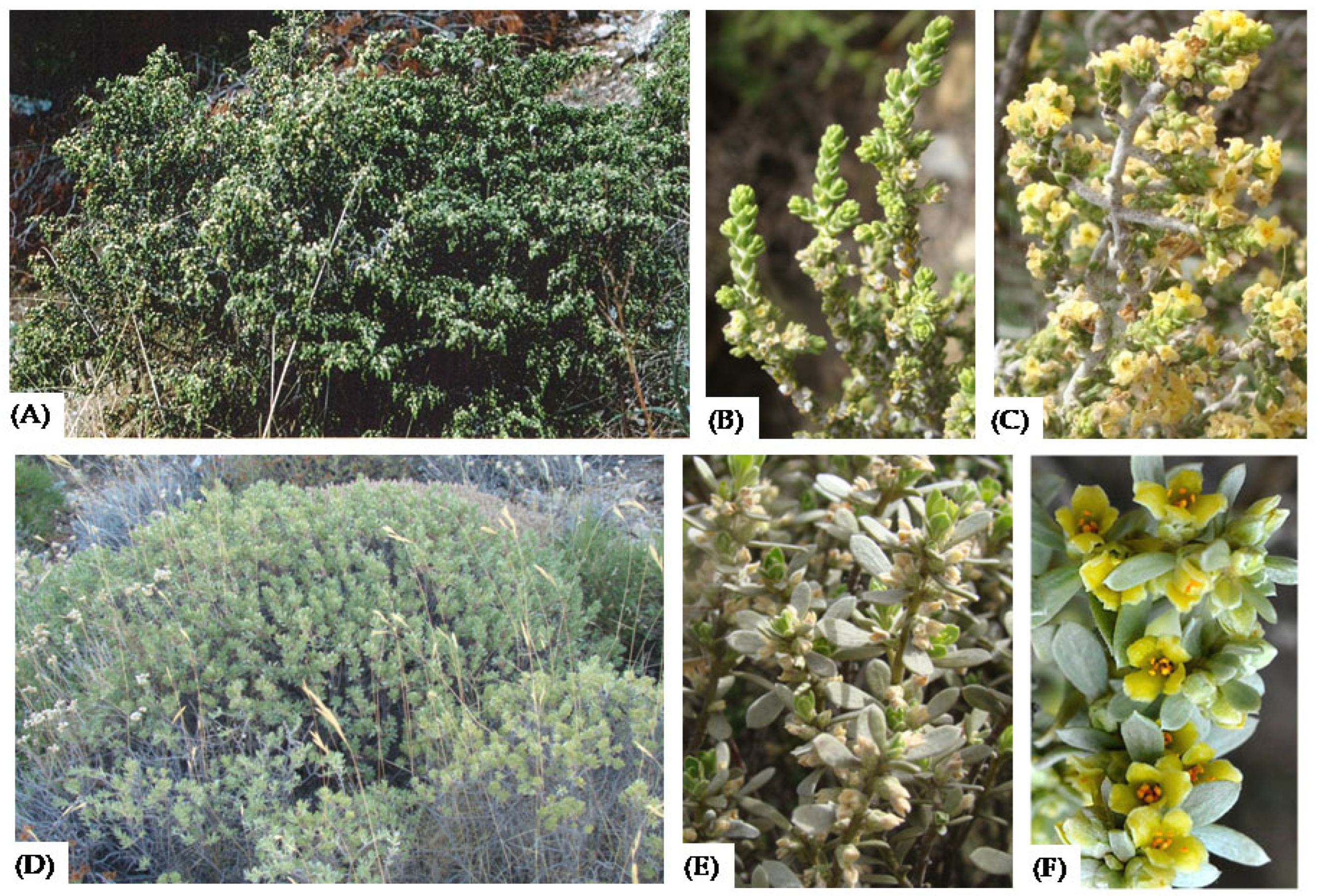 Seeds 04 00031 g001 Seeds 04 00031 g001