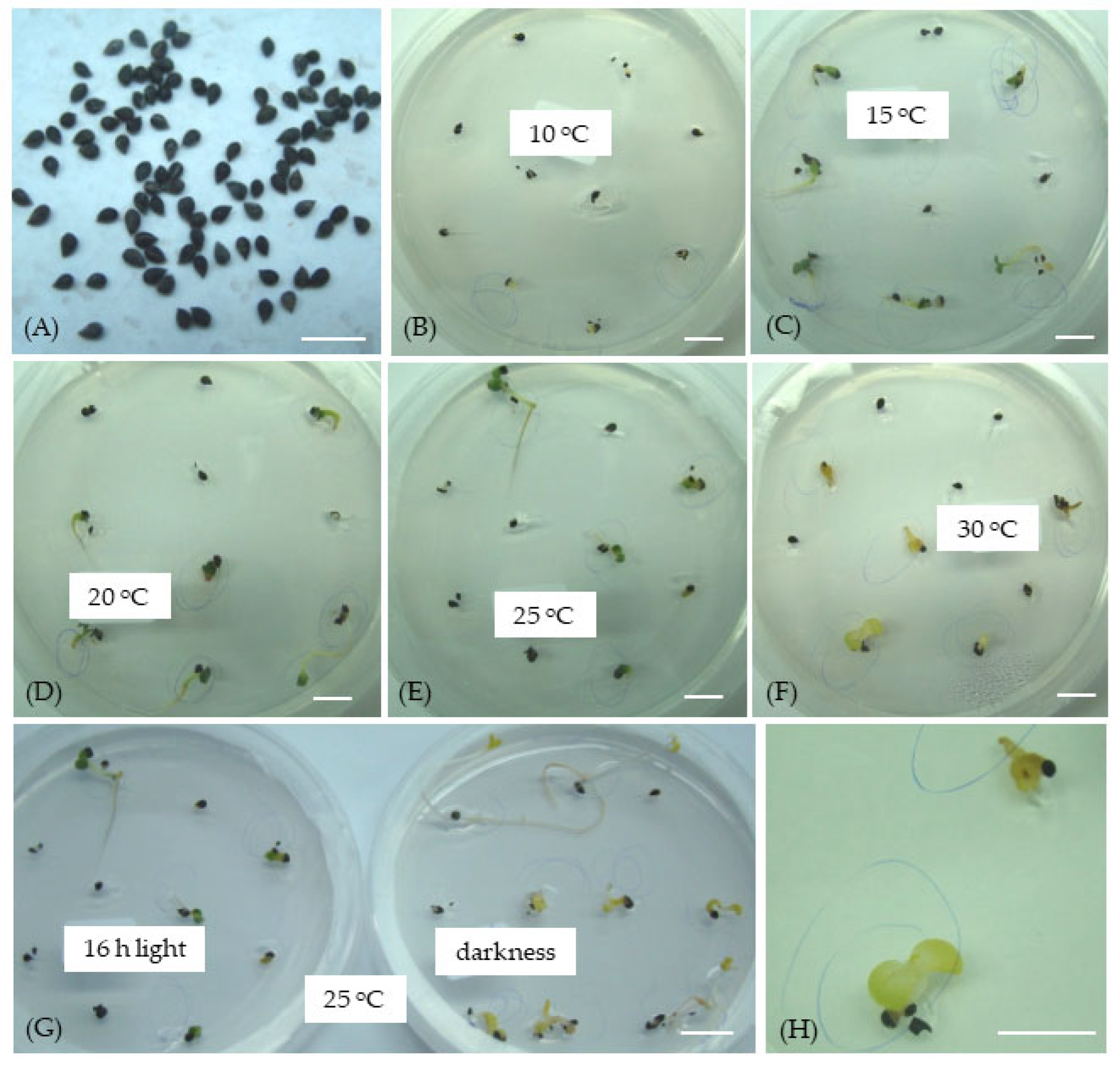 Seeds 04 00031 g002 Seeds 04 00031 g002