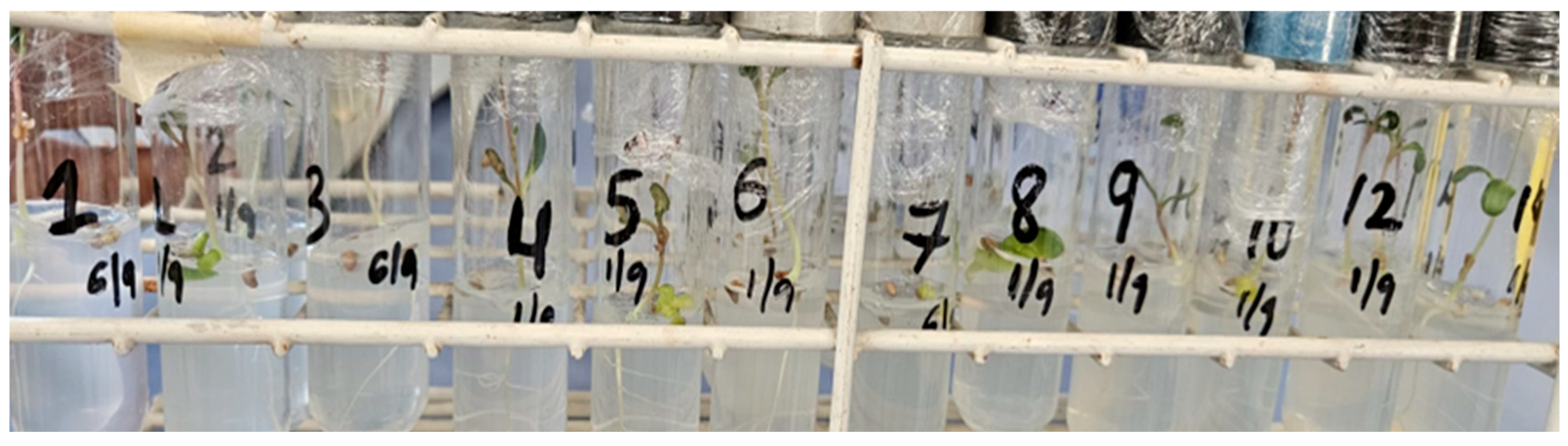 Seeds 04 00039 g003 Seeds 04 00039 g003