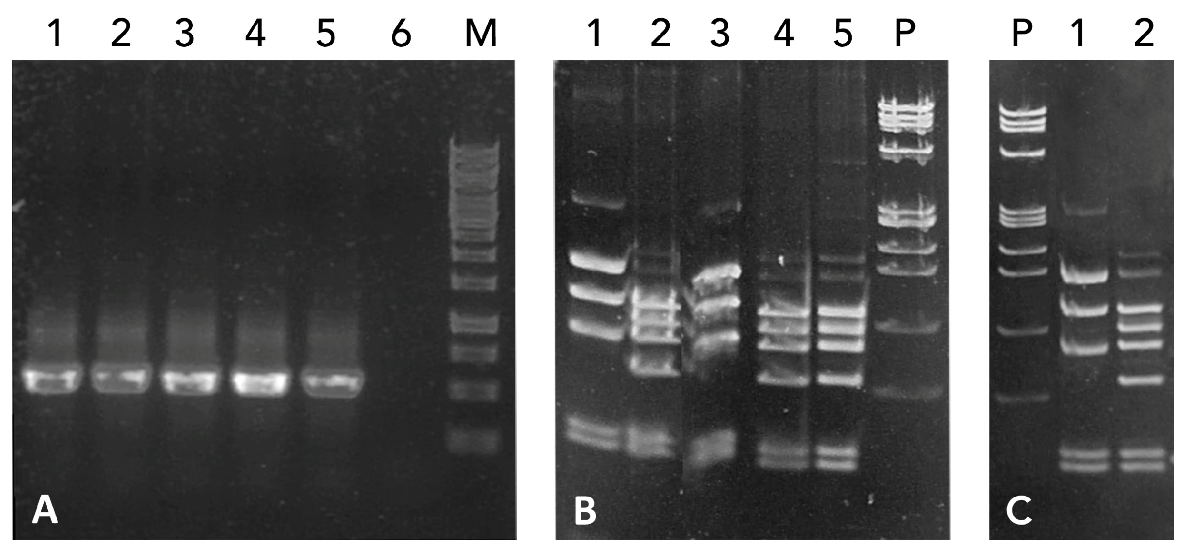 Seeds 04 00039 g005 Seeds 04 00039 g005