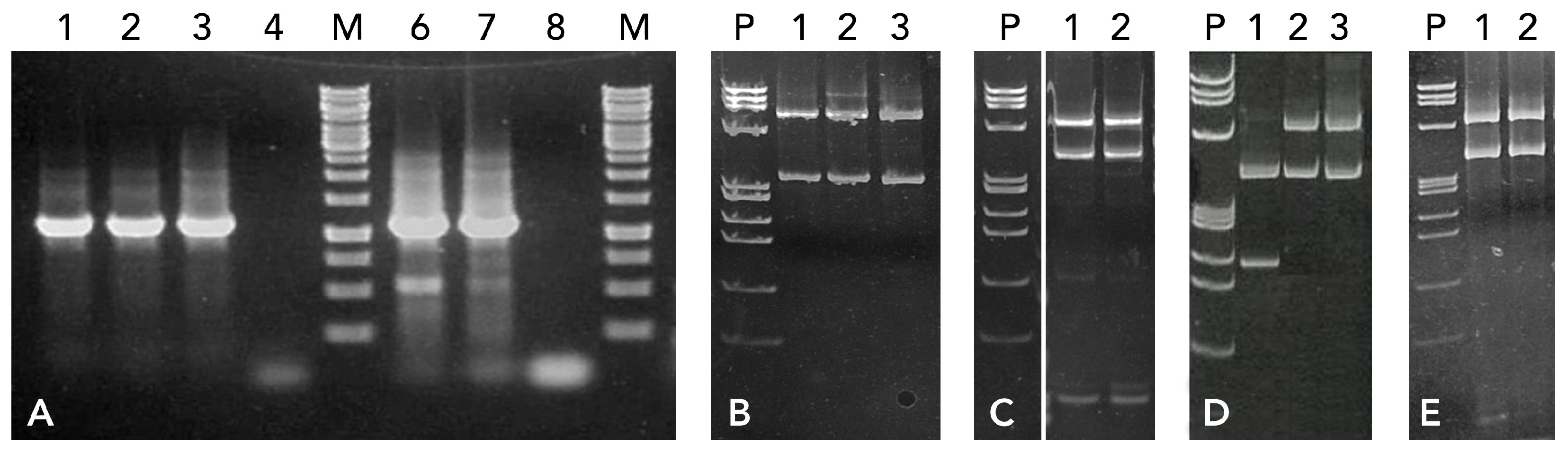 Seeds 04 00039 g006 Seeds 04 00039 g006