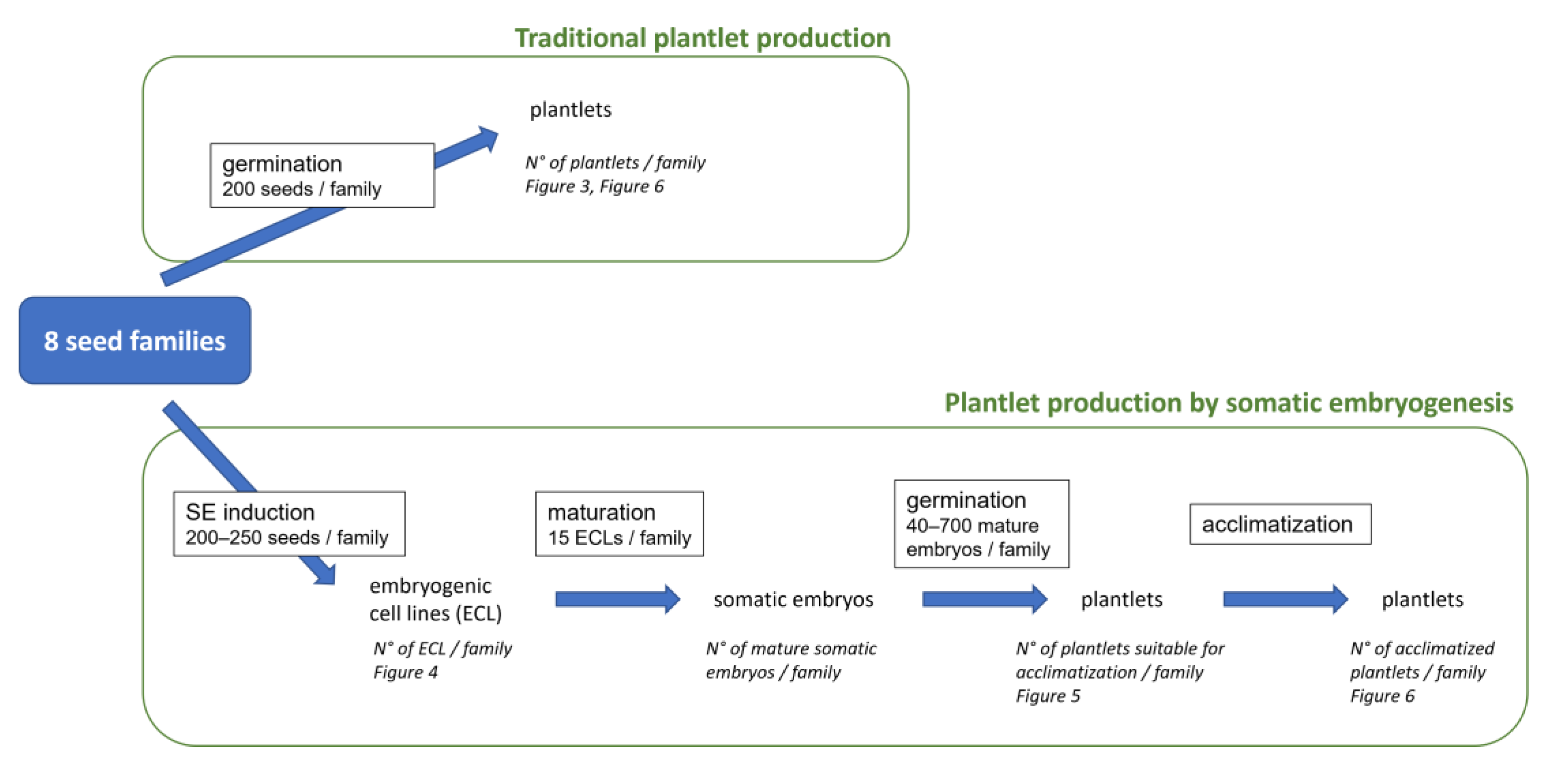 Seeds 04 00041 g001 Seeds 04 00041 g001