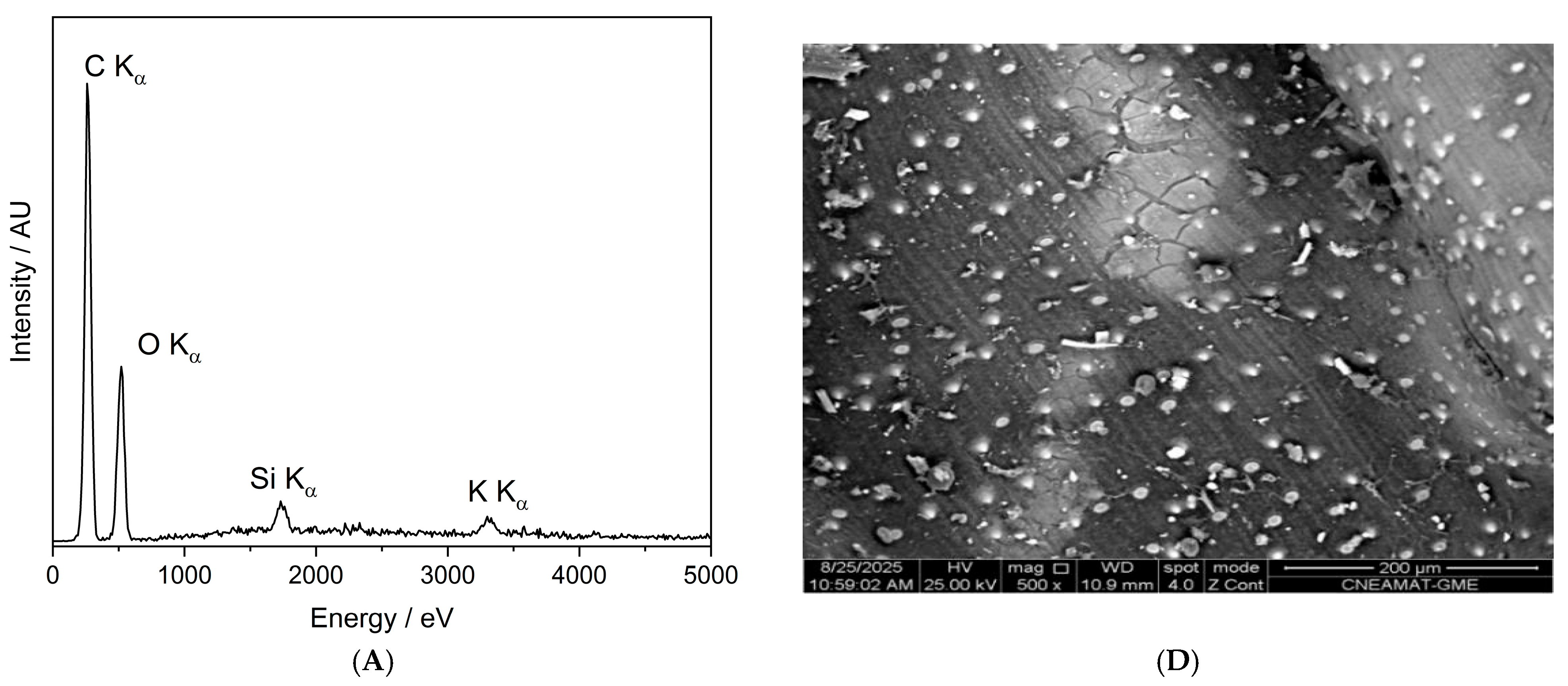 Seeds 05 00002 g010a