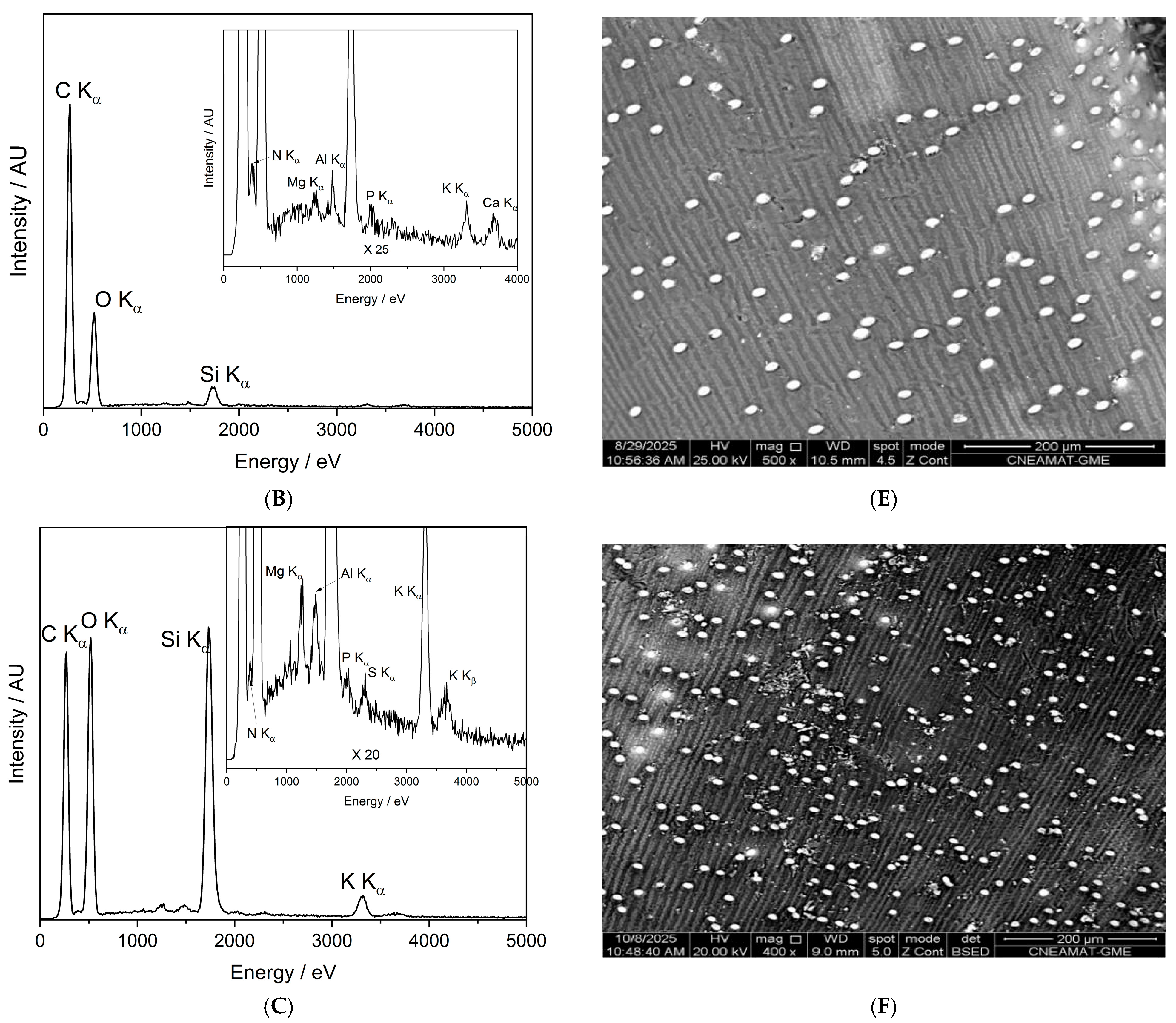 Seeds 05 00002 g010b