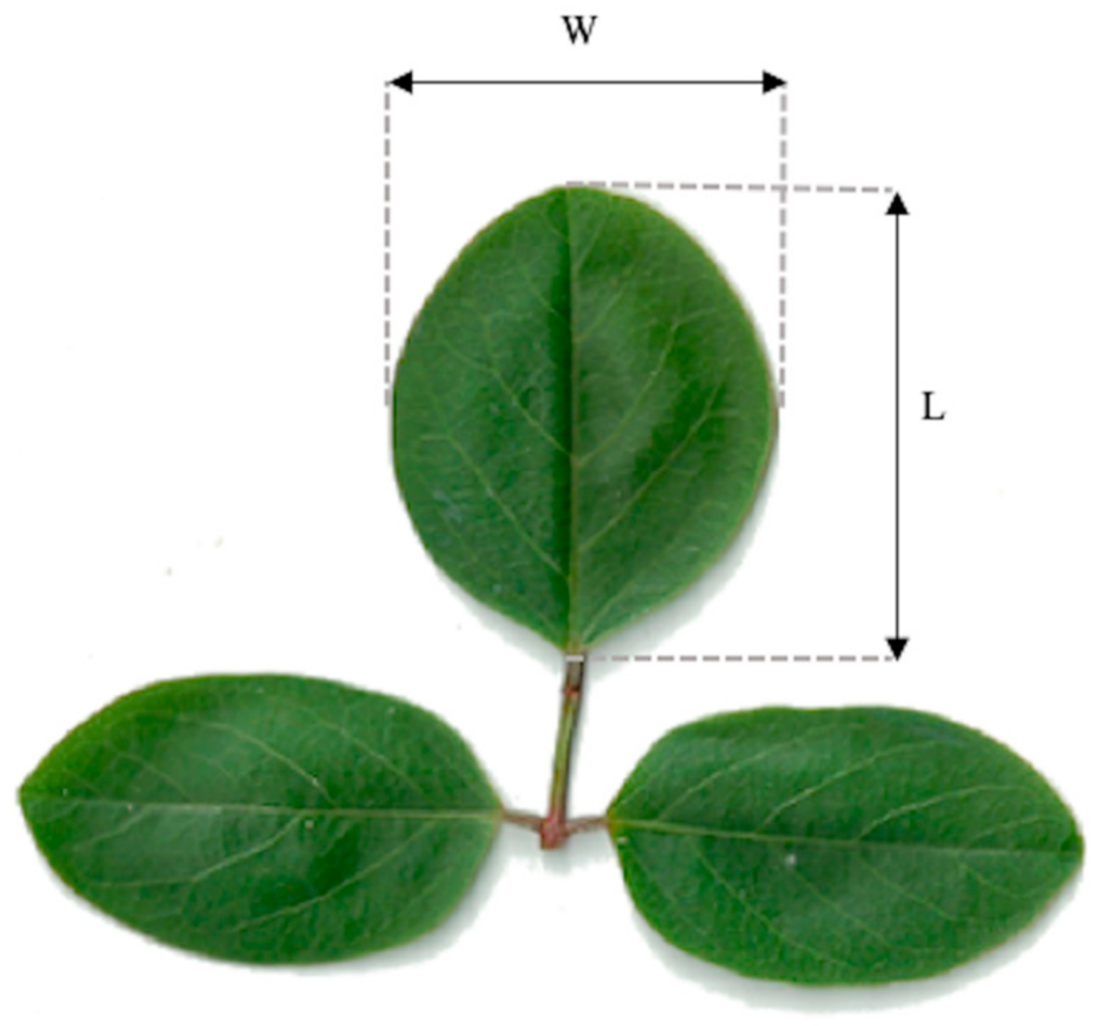 Seeds 05 00039 g003 Seeds 05 00039 g003