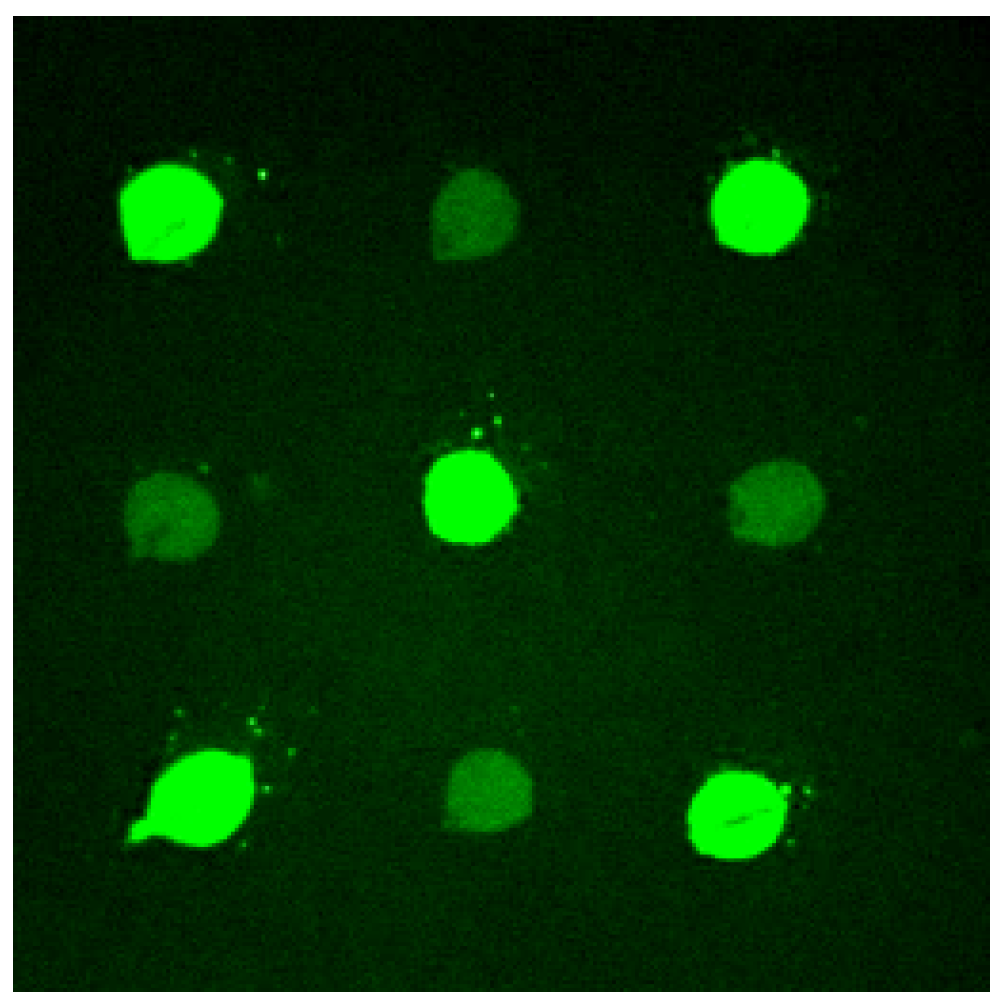 Sensors 01 00053 g002