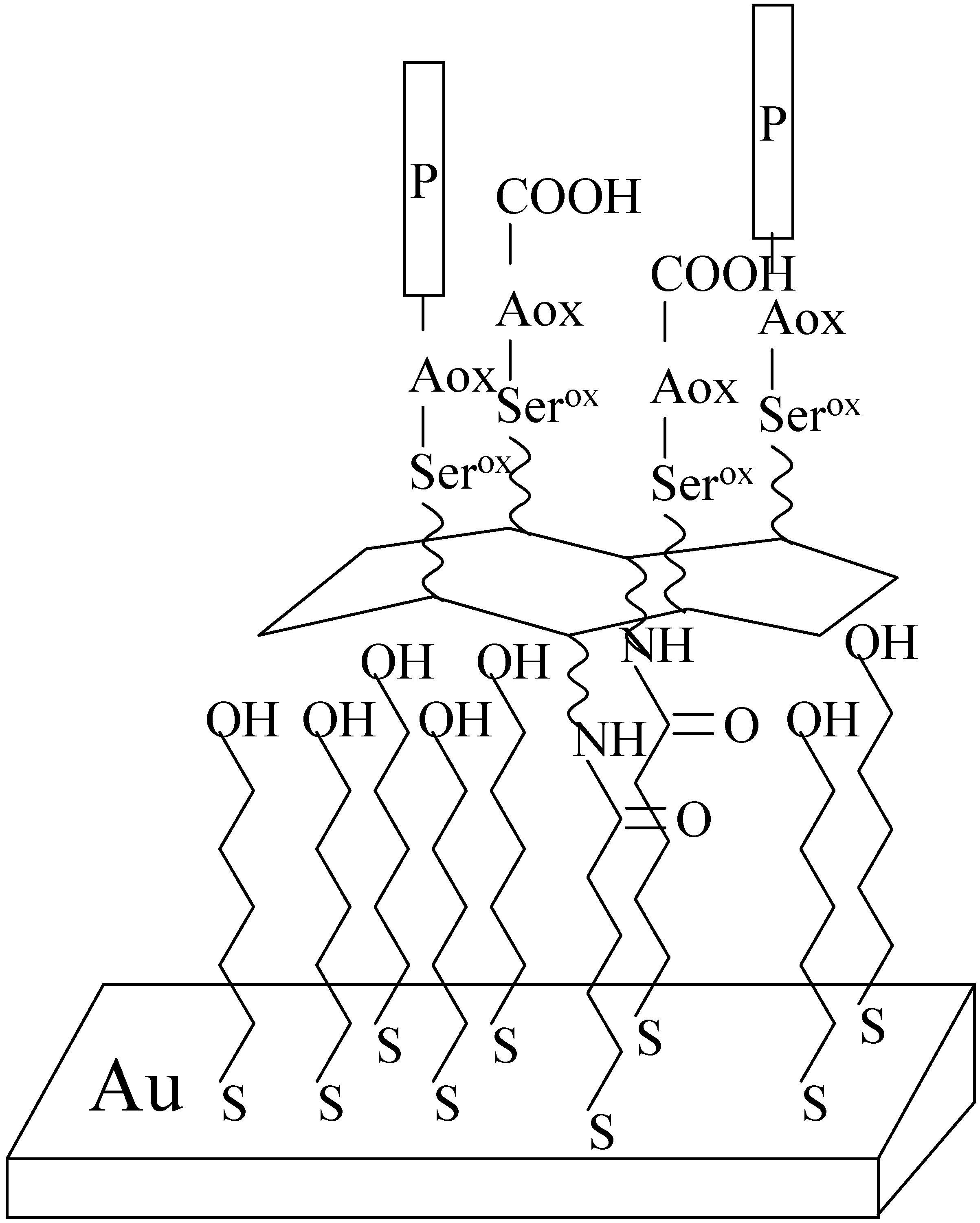 Sensors 01 00075 g002