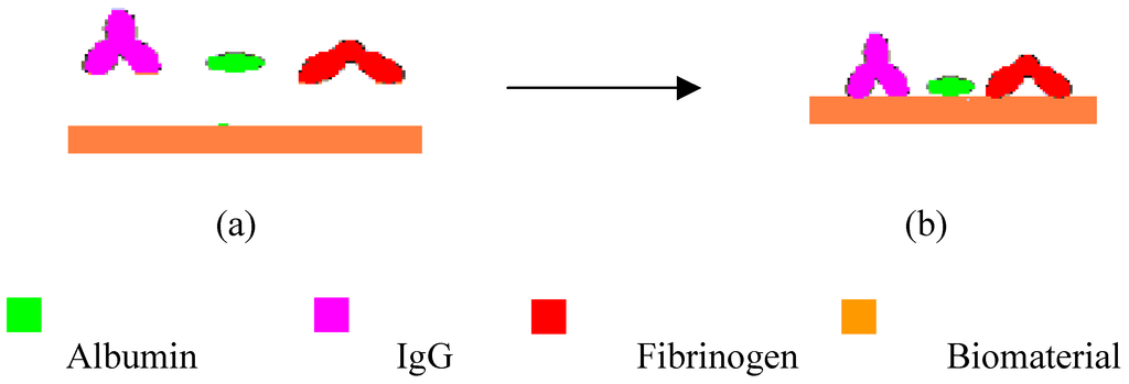 Sensors 01 00148 g002 1024