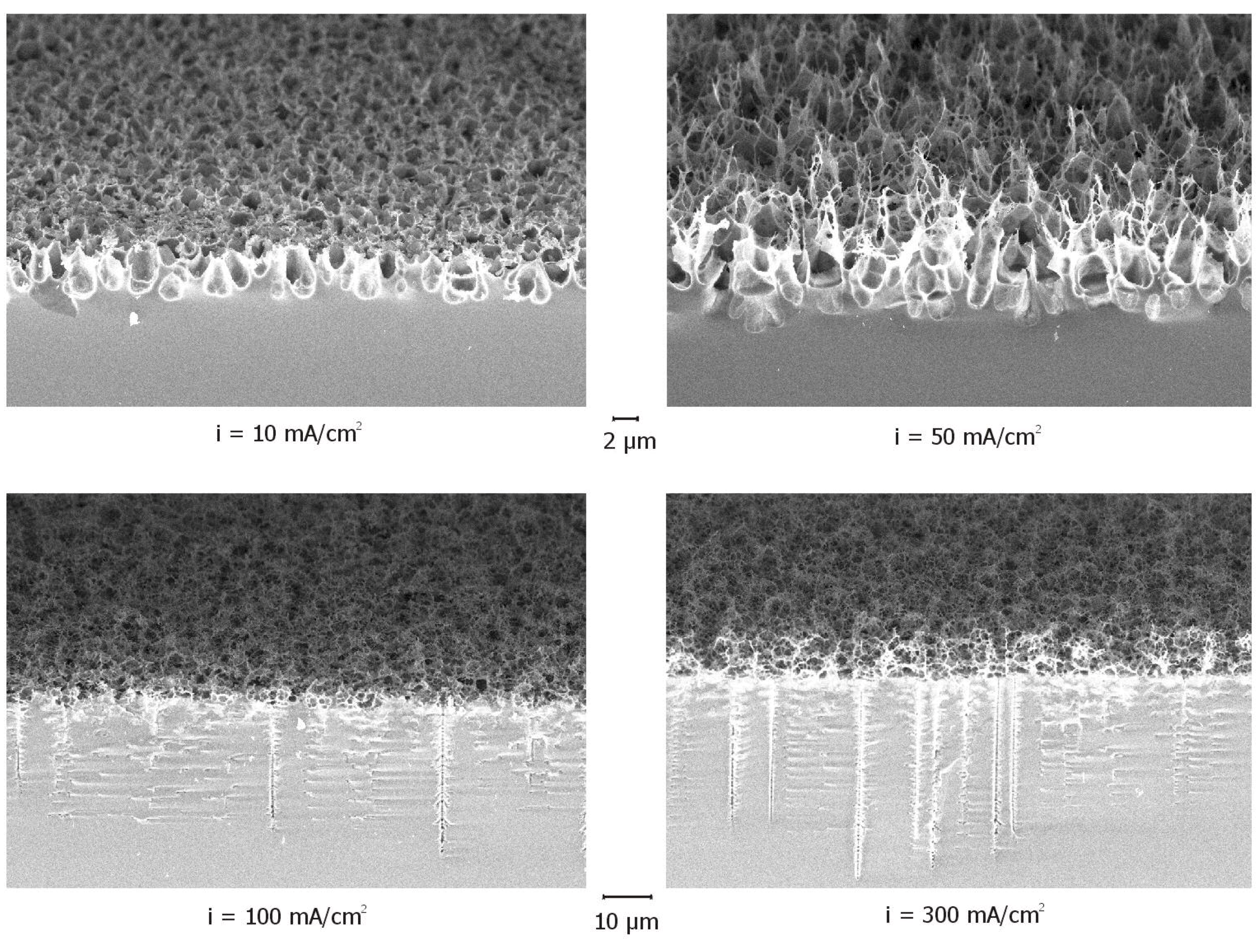 Sensors 02 00011 g002