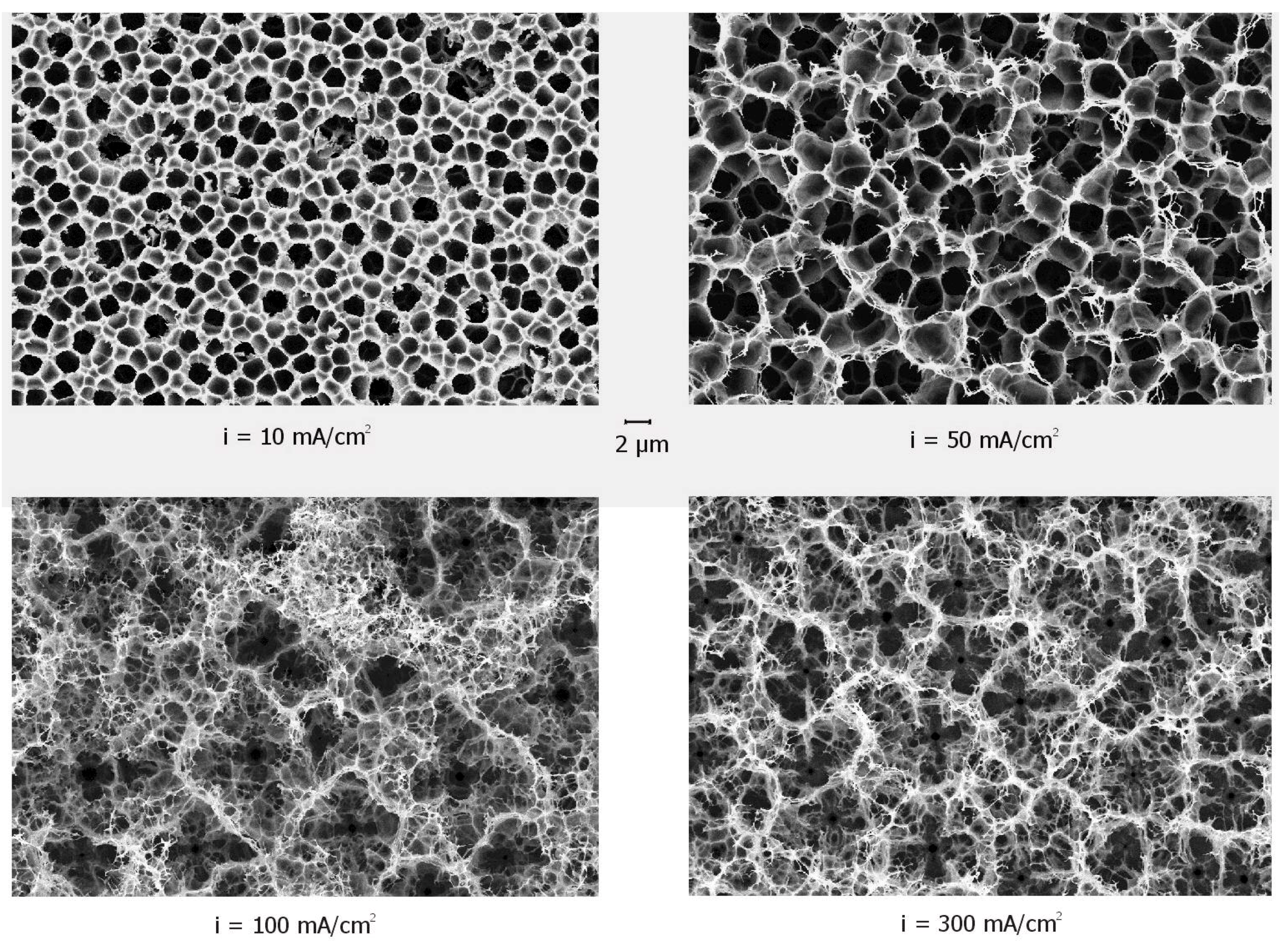 Sensors 02 00011 g003