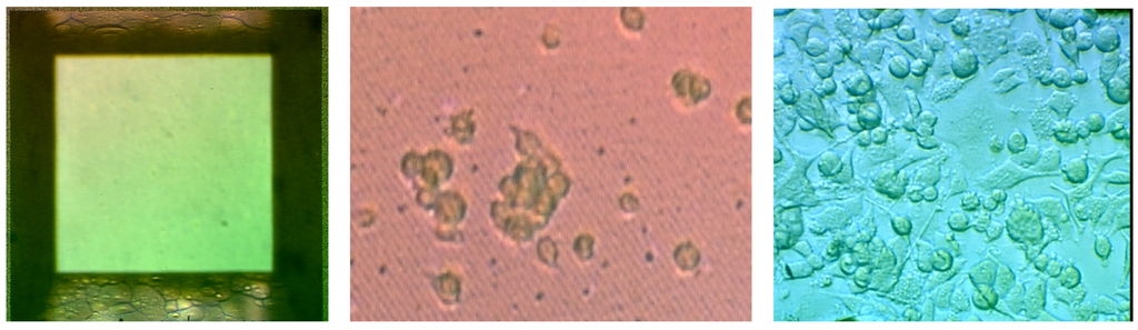 Sensors 02 00111 g008 1024