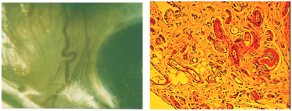 Sensors 02 00111 g010 1024