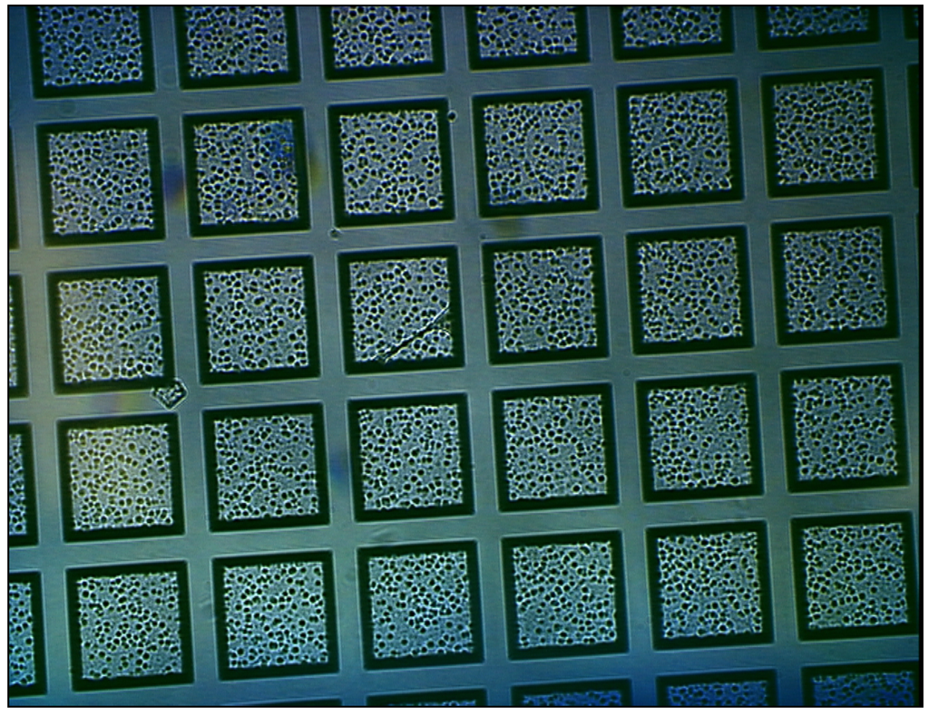 Sensors 02 00111 g011 1024