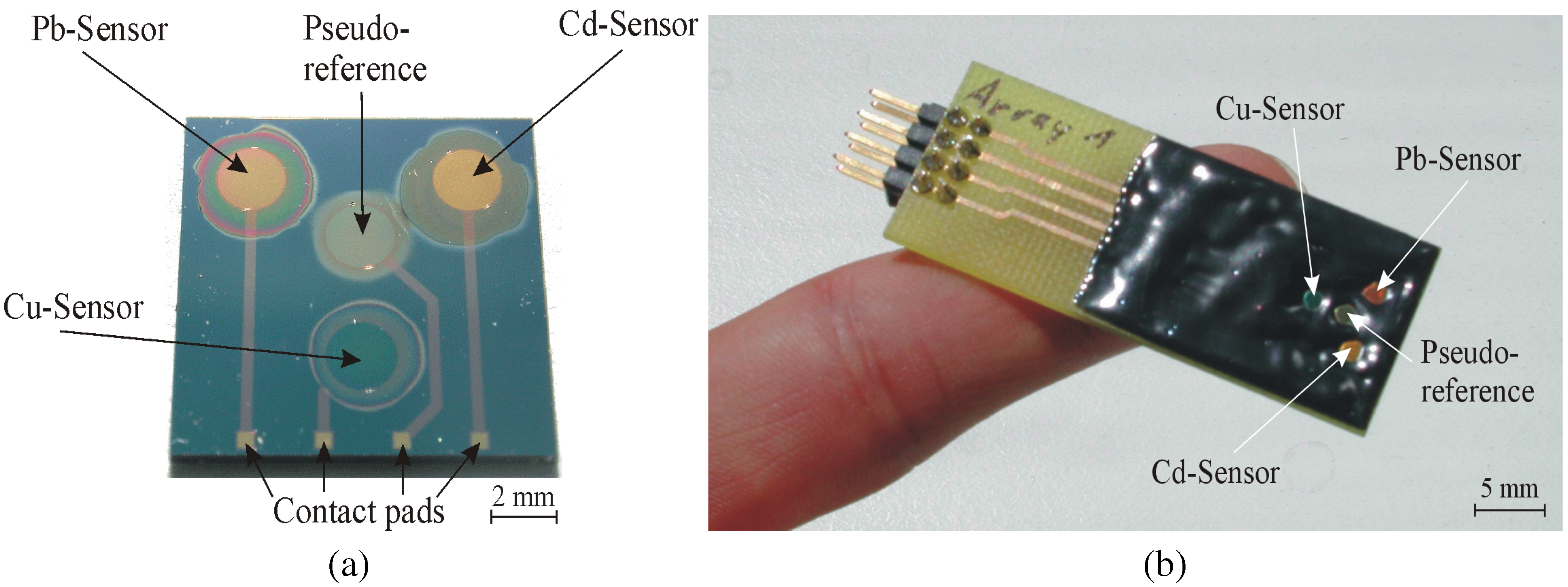 Sensors 02 00356 g004