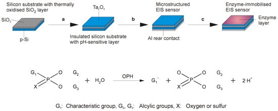 Sensors 03 00119 g001 550