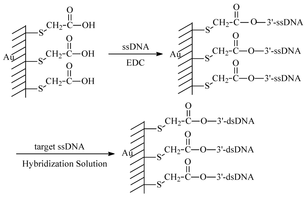Sensors 03 00128 g010 1024