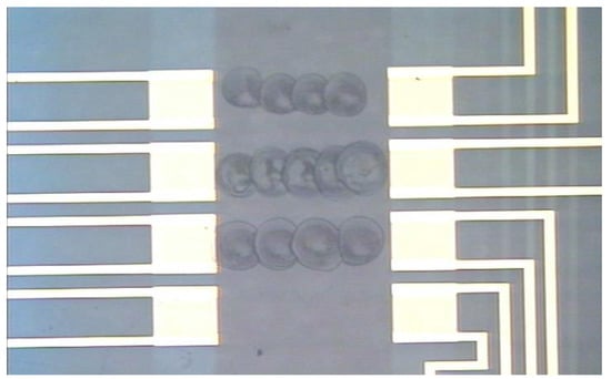 Sensors 03 00236 g003 550