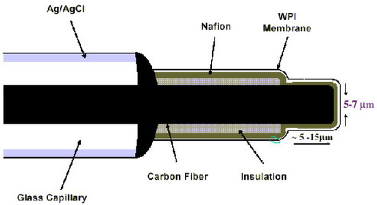 Sensors 03 00314 g001 550