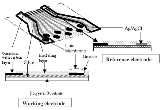 Sensors 03 00340 g001