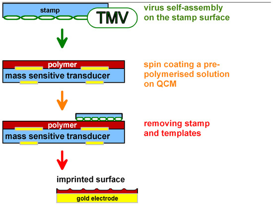 Sensors 03 00381 g008 550