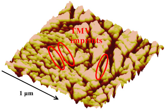 Sensors 03 00381 g009 550