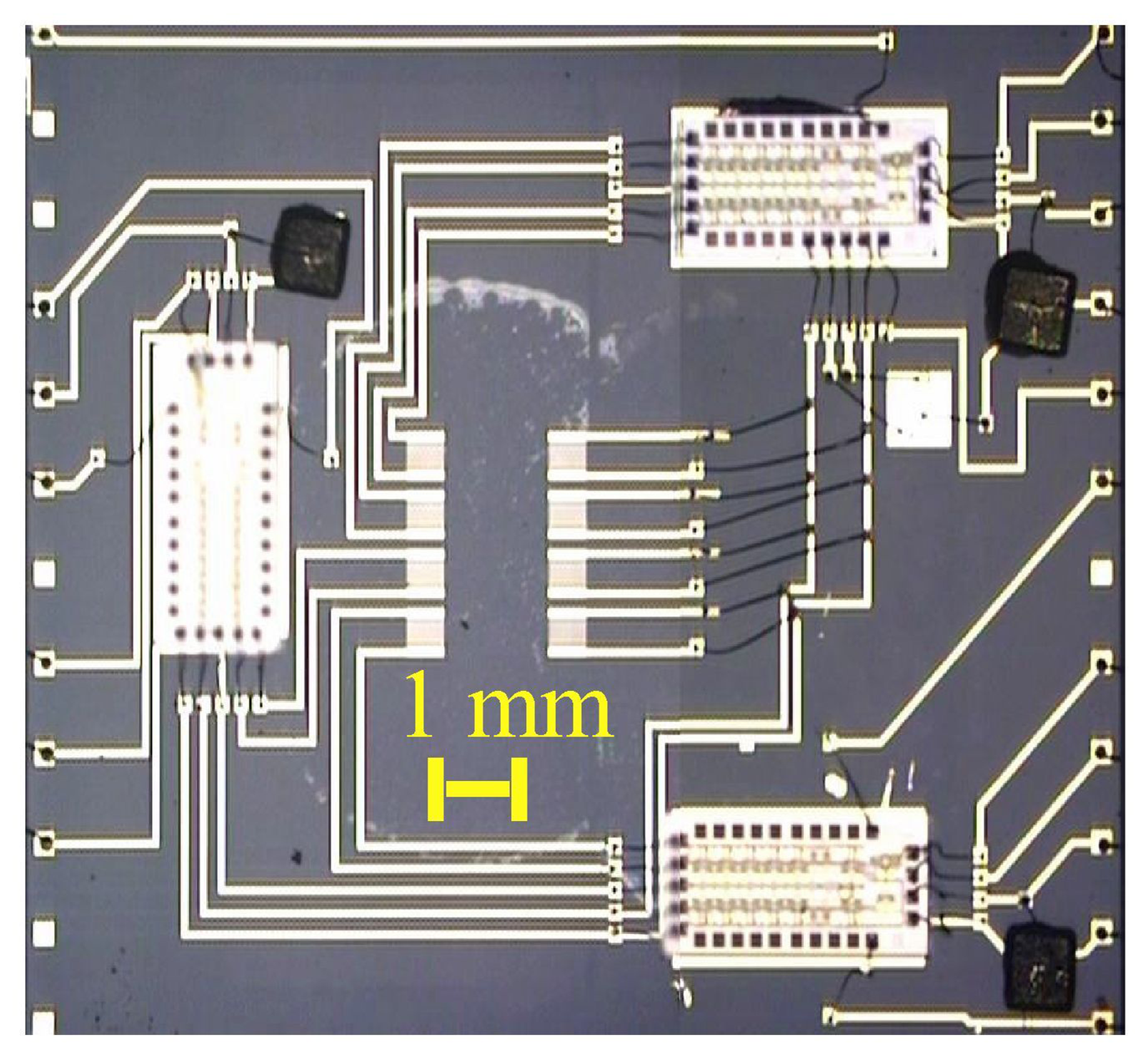 Sensors 05 00004f4