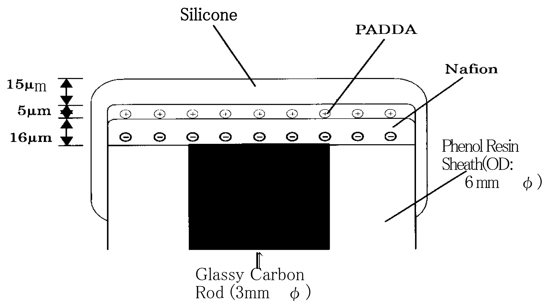 Sensors 05 00161f1