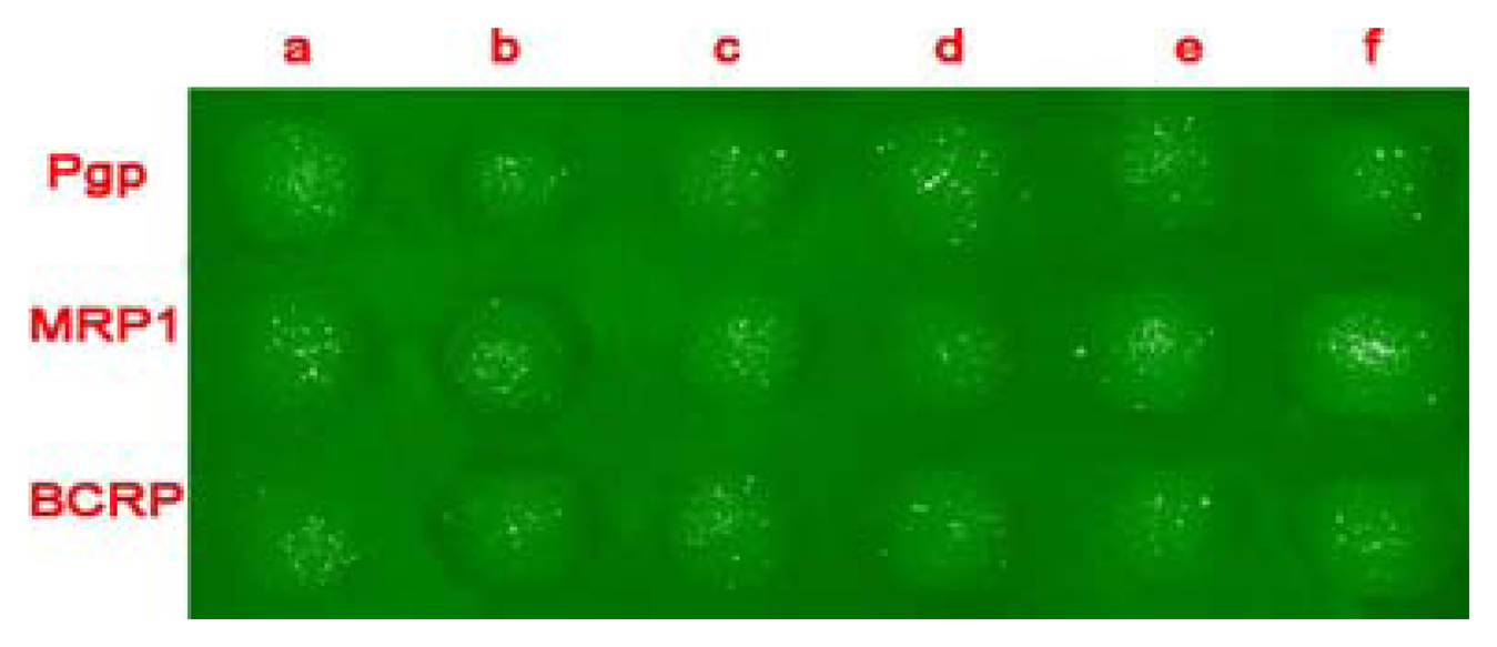 Sensors 05 00250f1