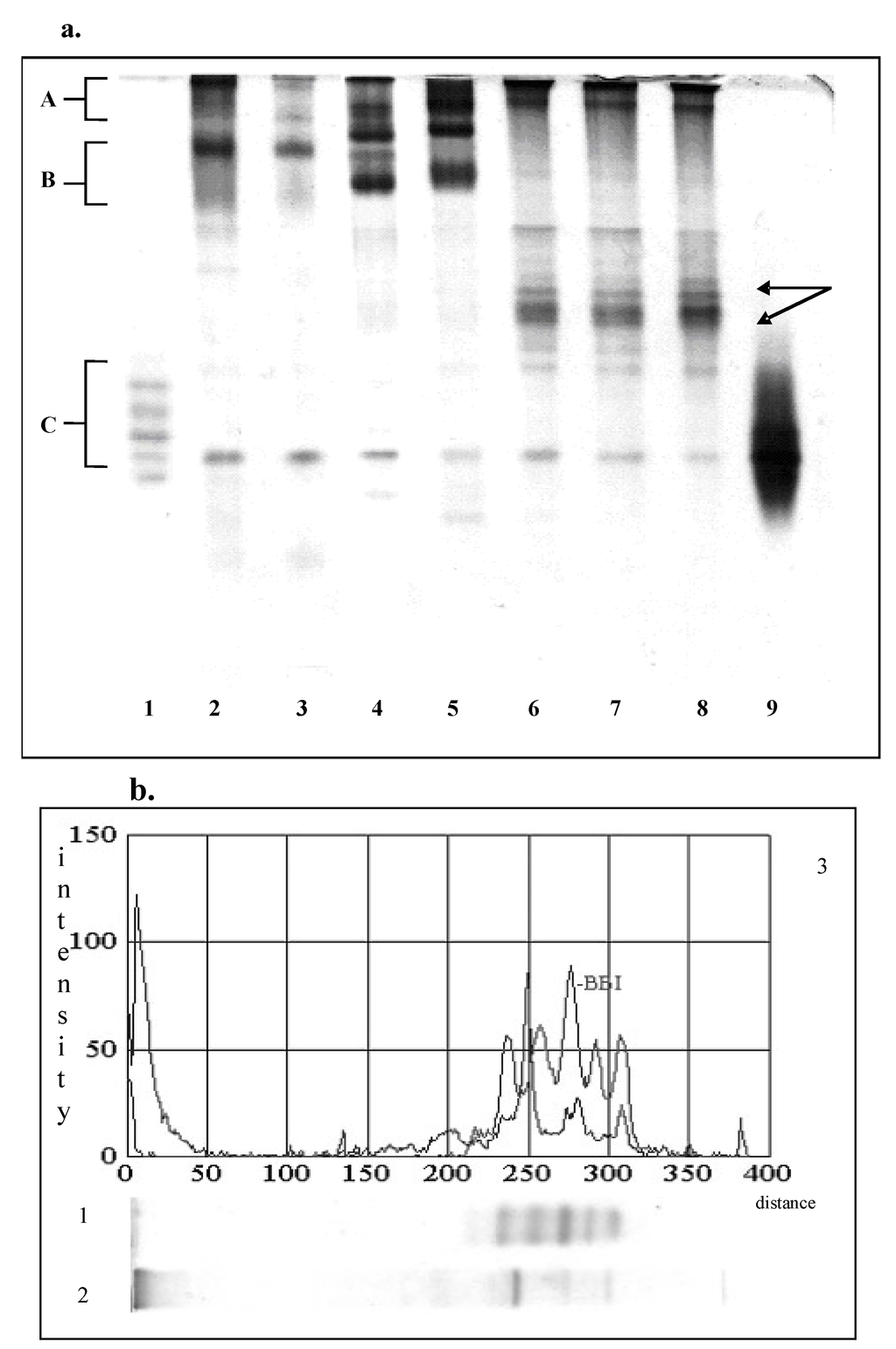 Sensors 06 01087 g001 1024