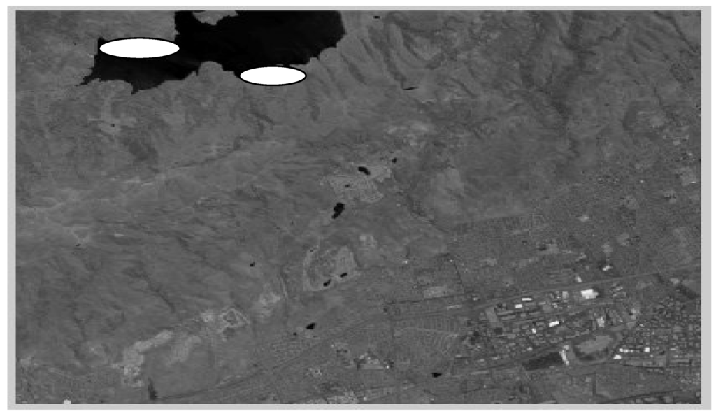 Sensors 06 01721 g001 1024