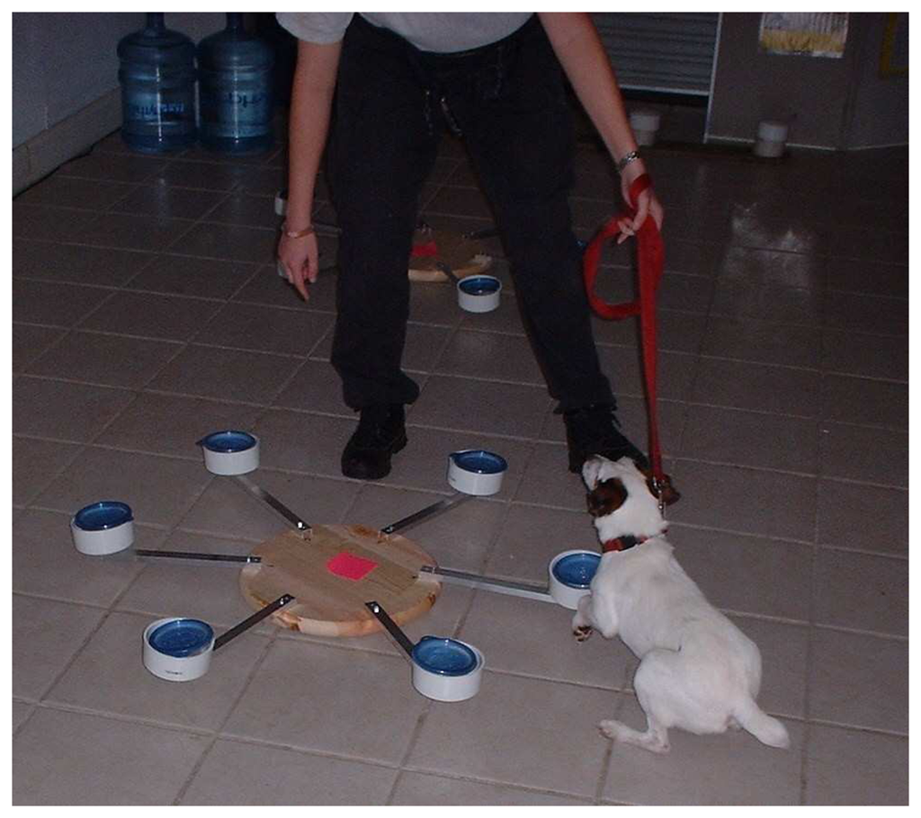 Sensors 07 01496f7 1024