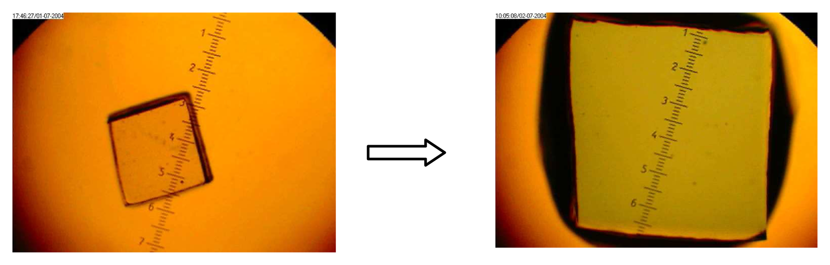 Sensors 07 01578f10