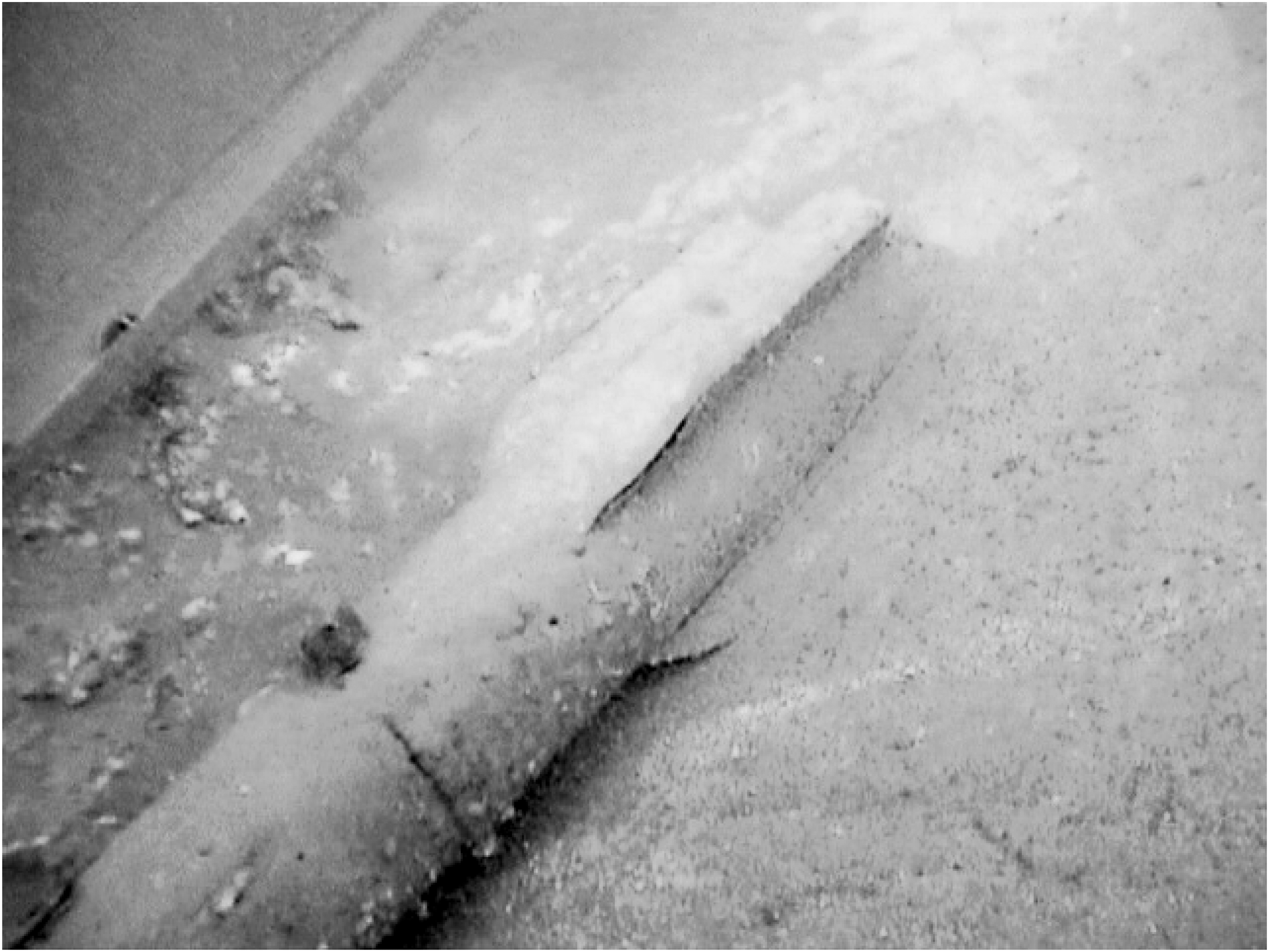 Sensors 07 01697f12