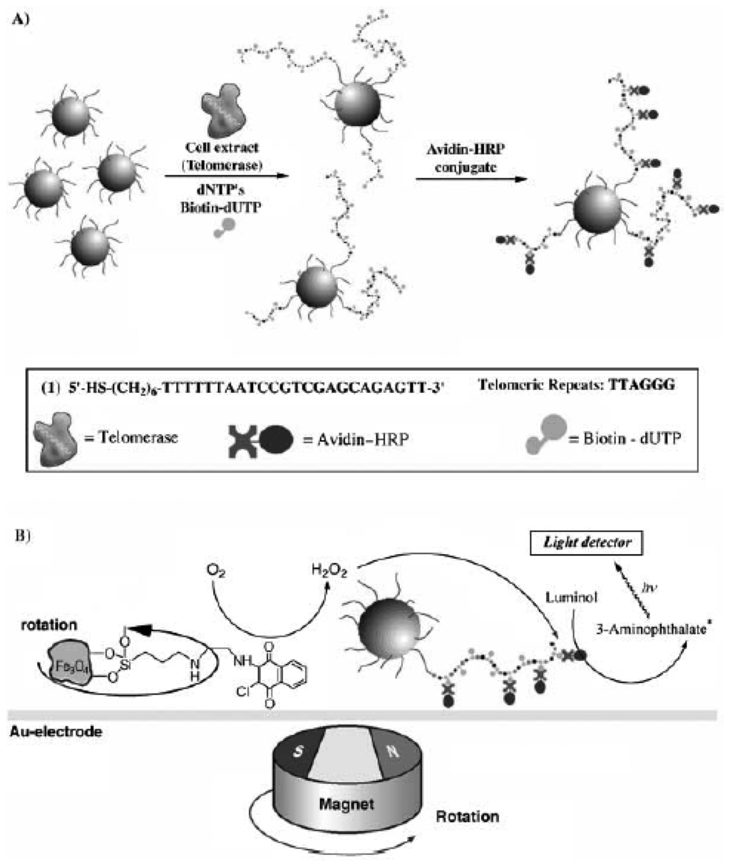 Sensors 08 00347f13 1024