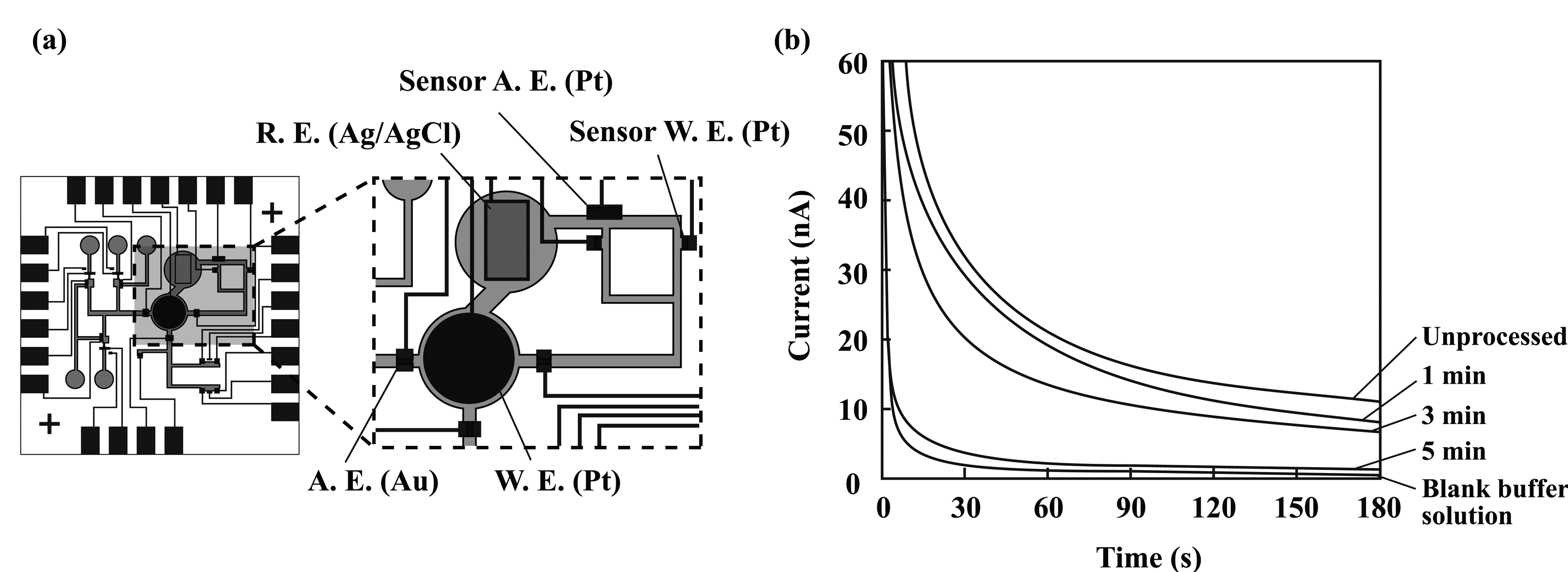 Sensors 08 01111f11
