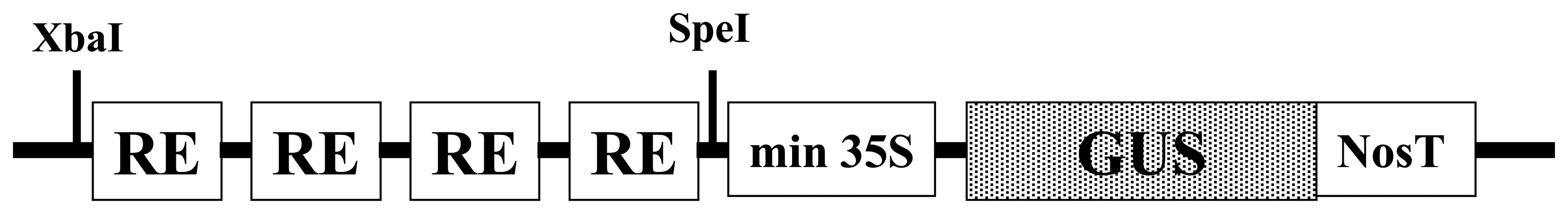 Sensors 08 02628f1