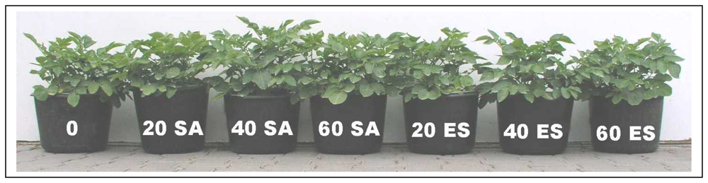 Sensors 08 03165f2